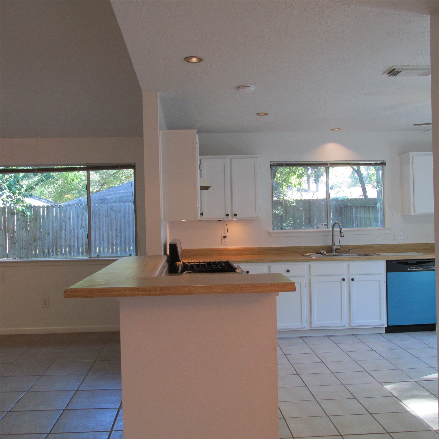24042 Spring Gum Drive Property Photo 11