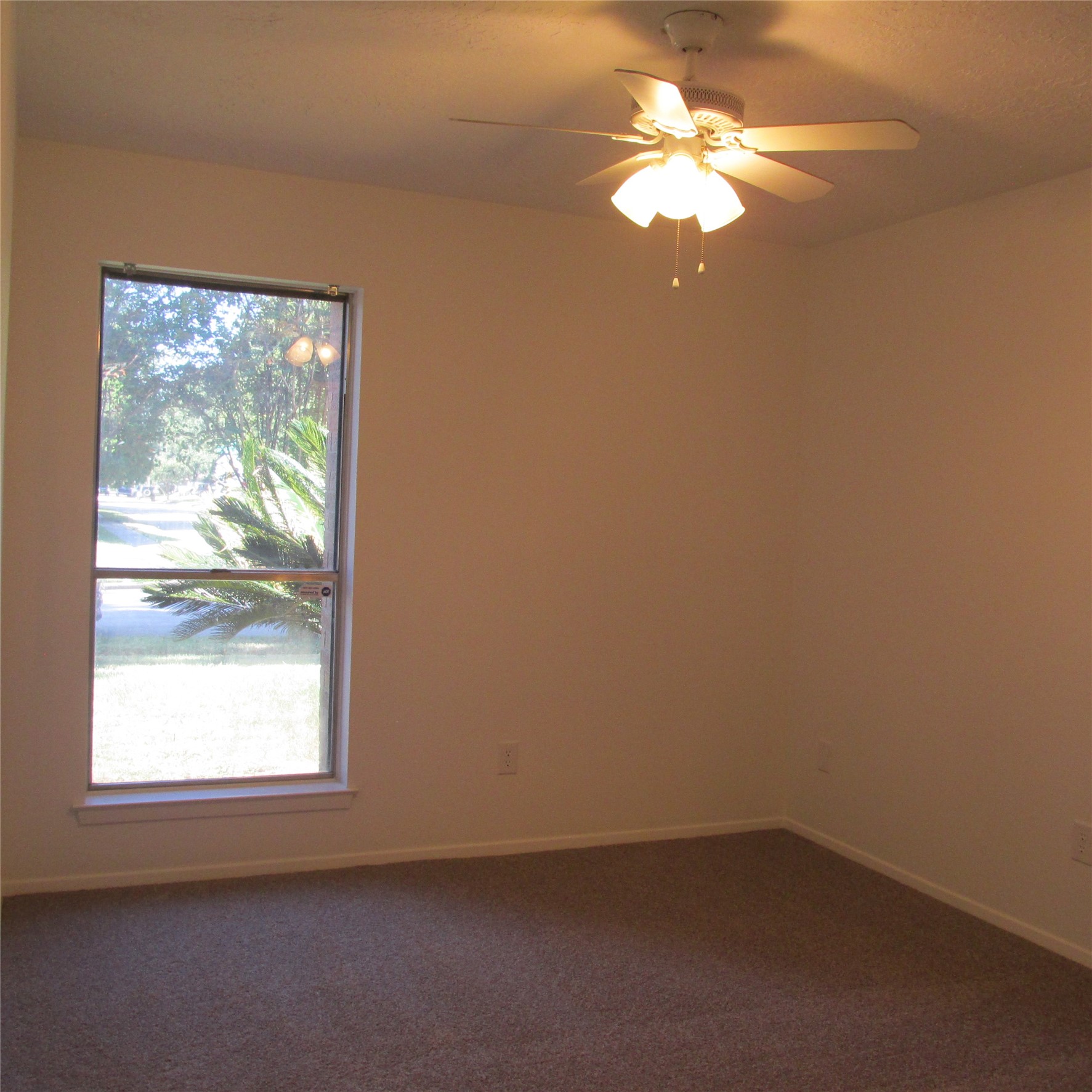 24042 Spring Gum Drive Property Photo 13