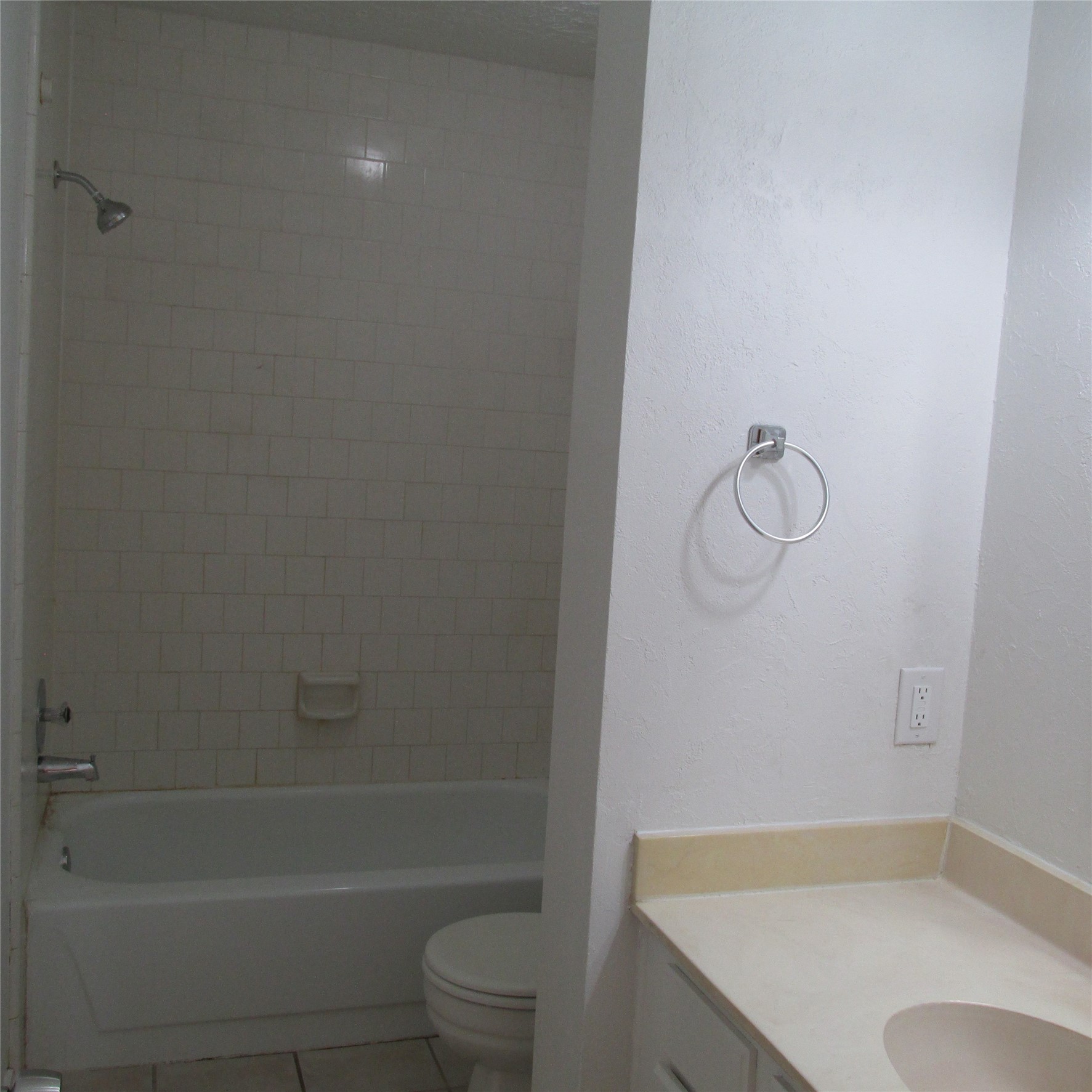 24042 Spring Gum Drive Property Photo 15