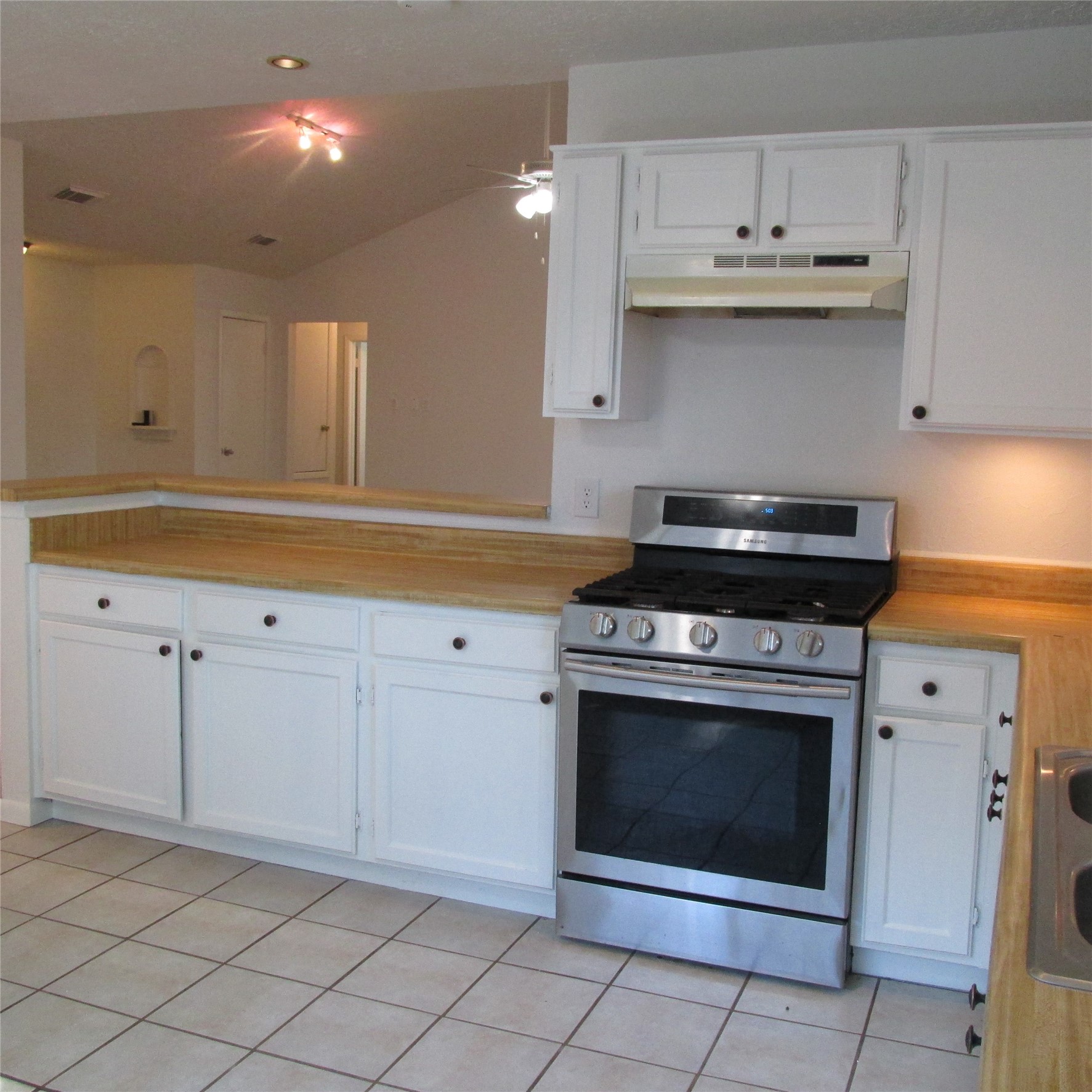 24042 Spring Gum Drive Property Photo 18