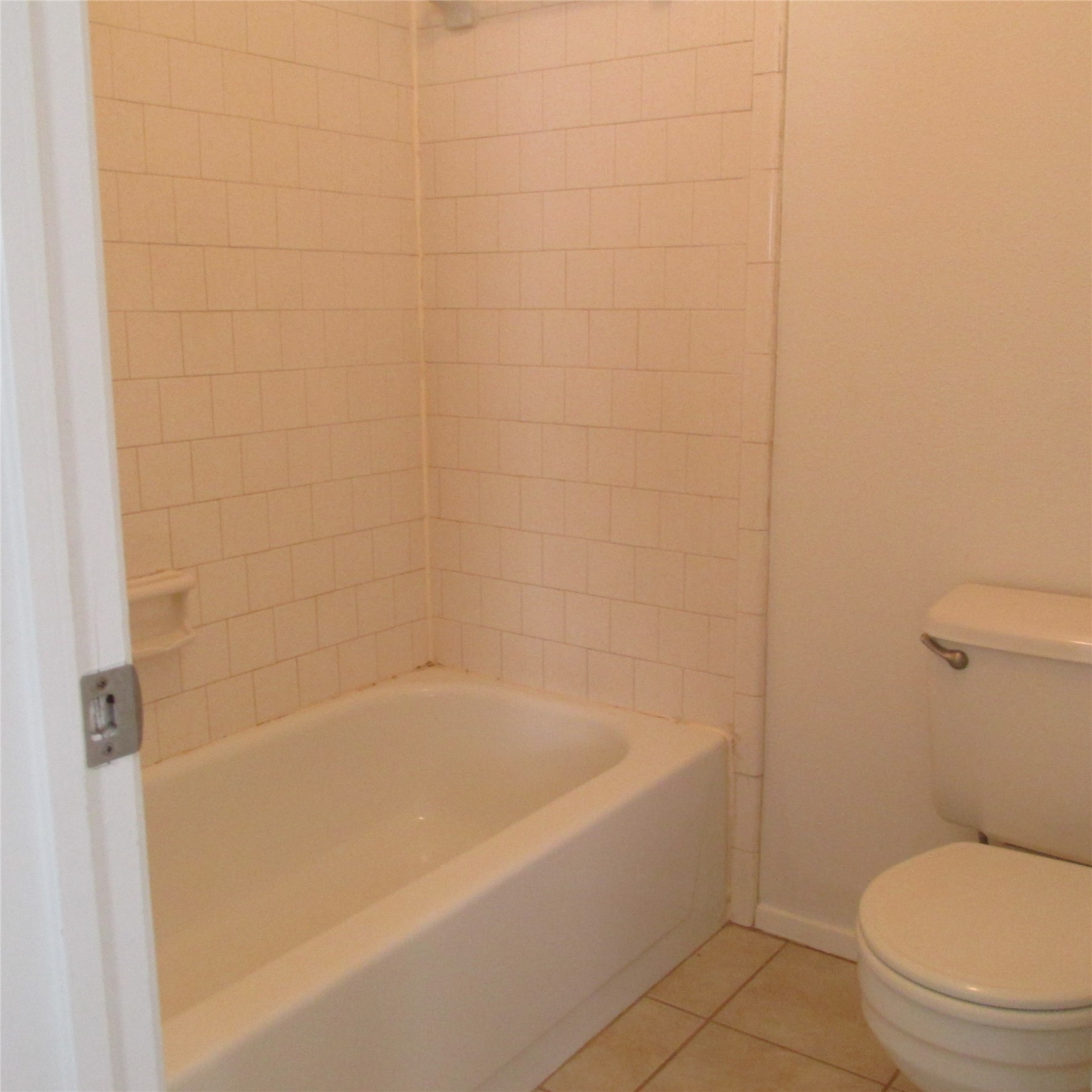 24042 Spring Gum Drive Property Photo 22
