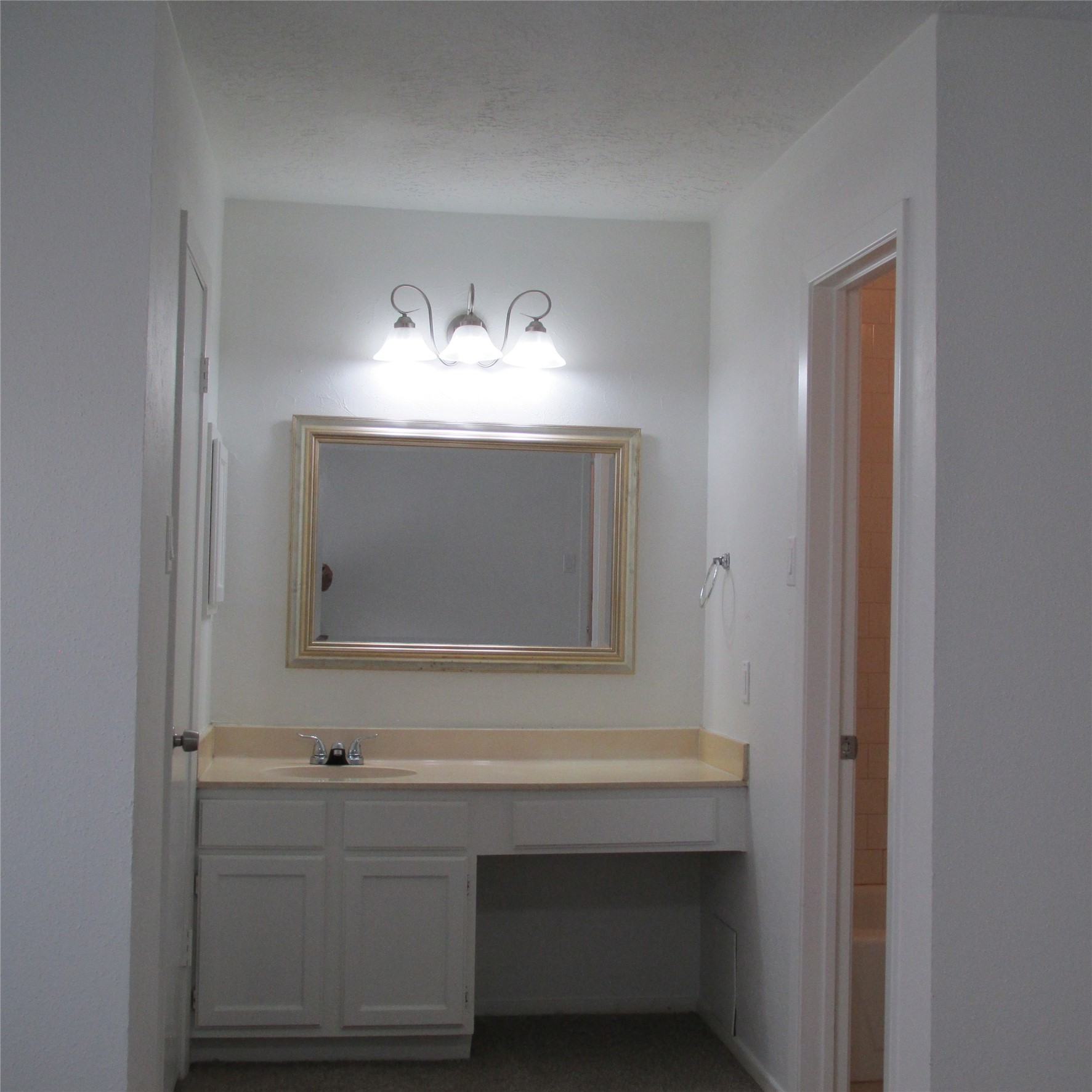 24042 Spring Gum Drive Property Photo 24