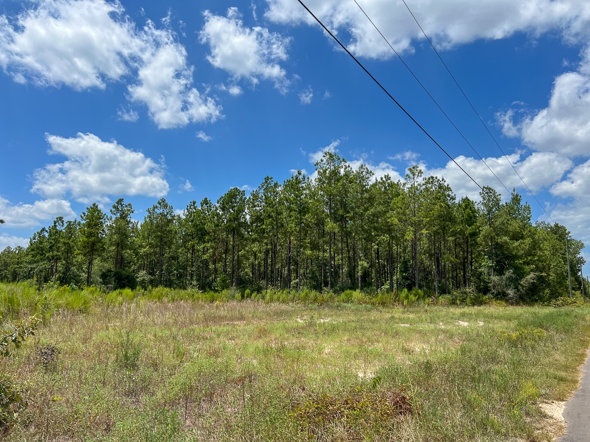 02 County Road 1420 Property Photo 3