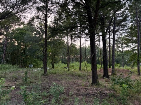 120 Pioneer Trail Property Photo
