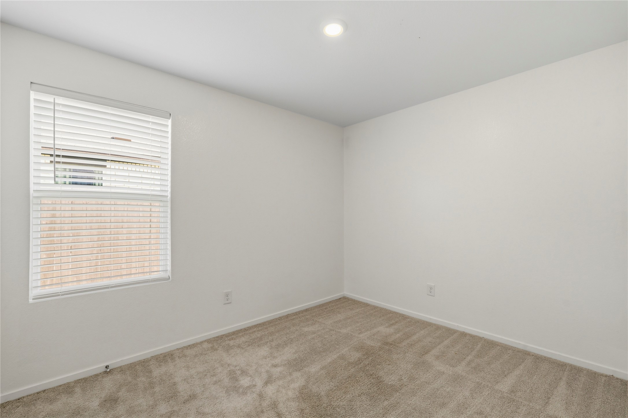 9323 Speckled Trout Drive Property Photo 14
