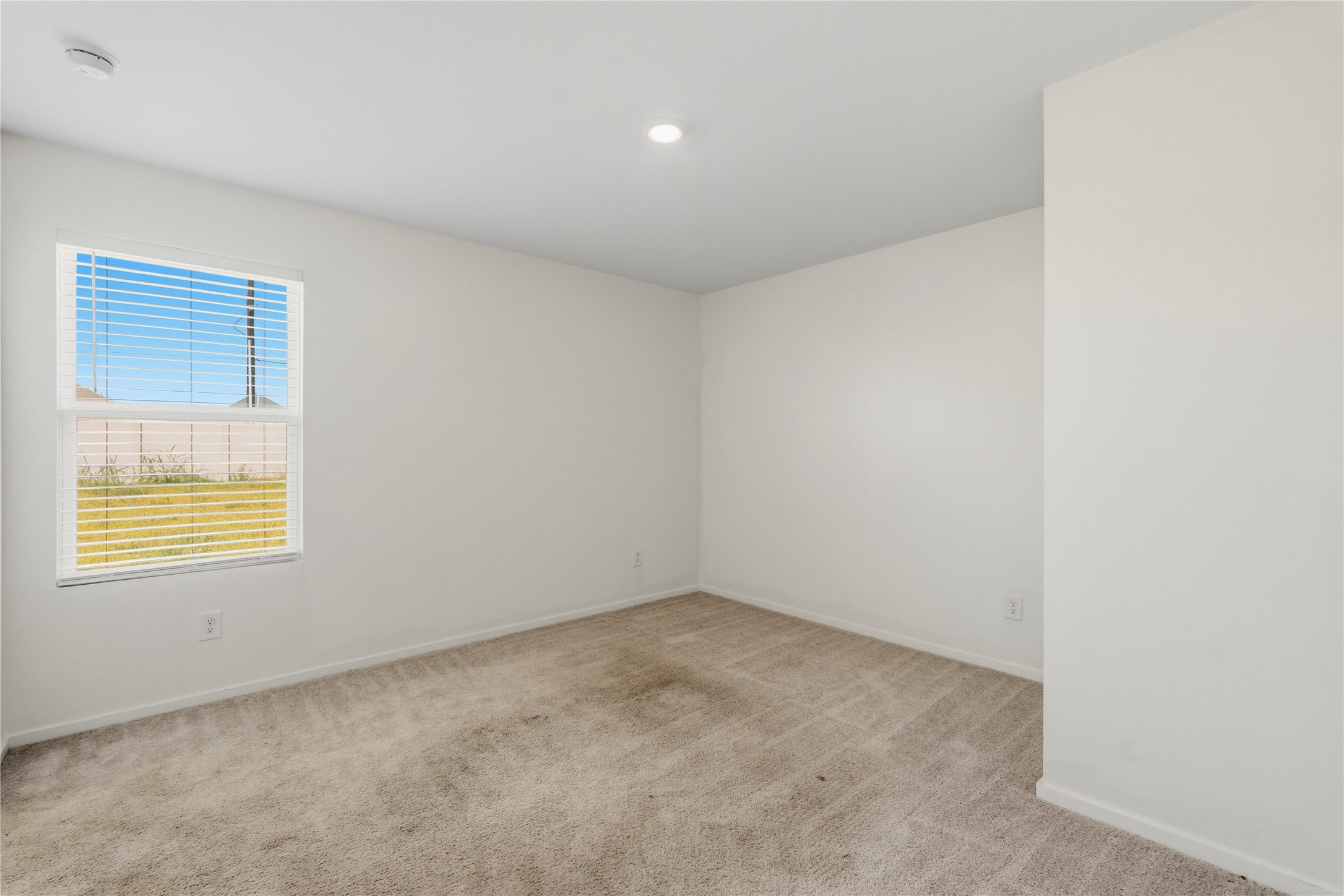 9323 Speckled Trout Drive Property Photo 18