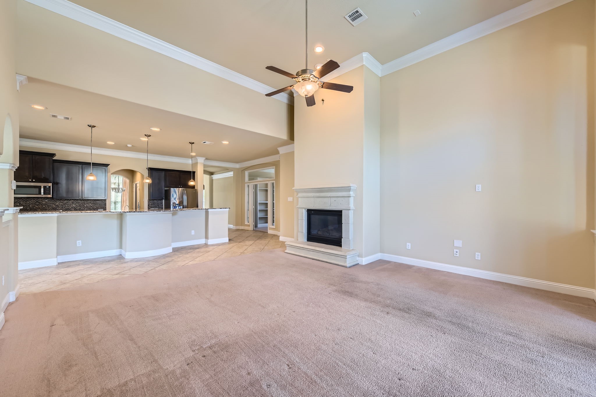 4803 Cinco Forest Trail Property Photo 11