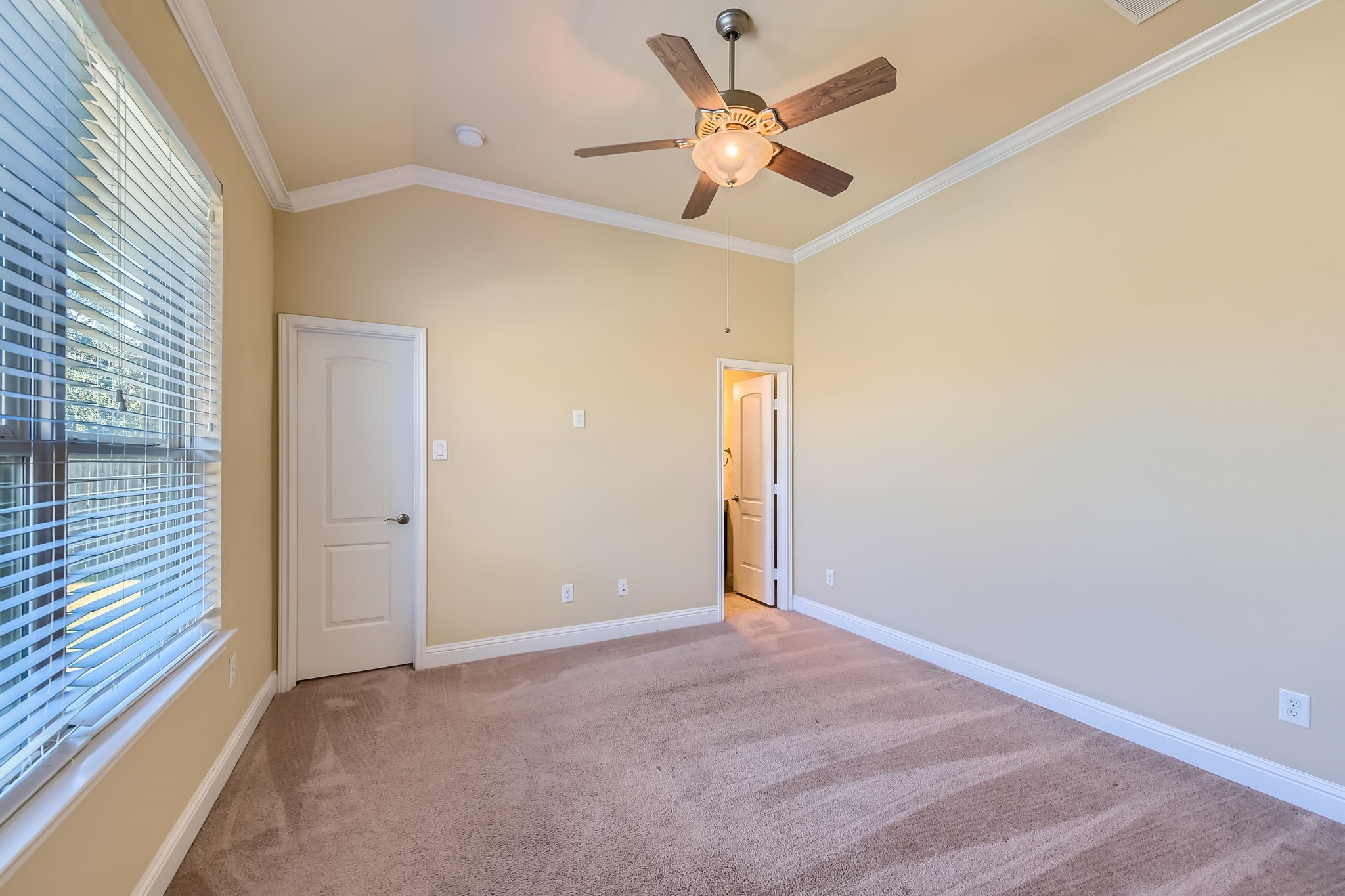 4803 Cinco Forest Trail Property Photo 23