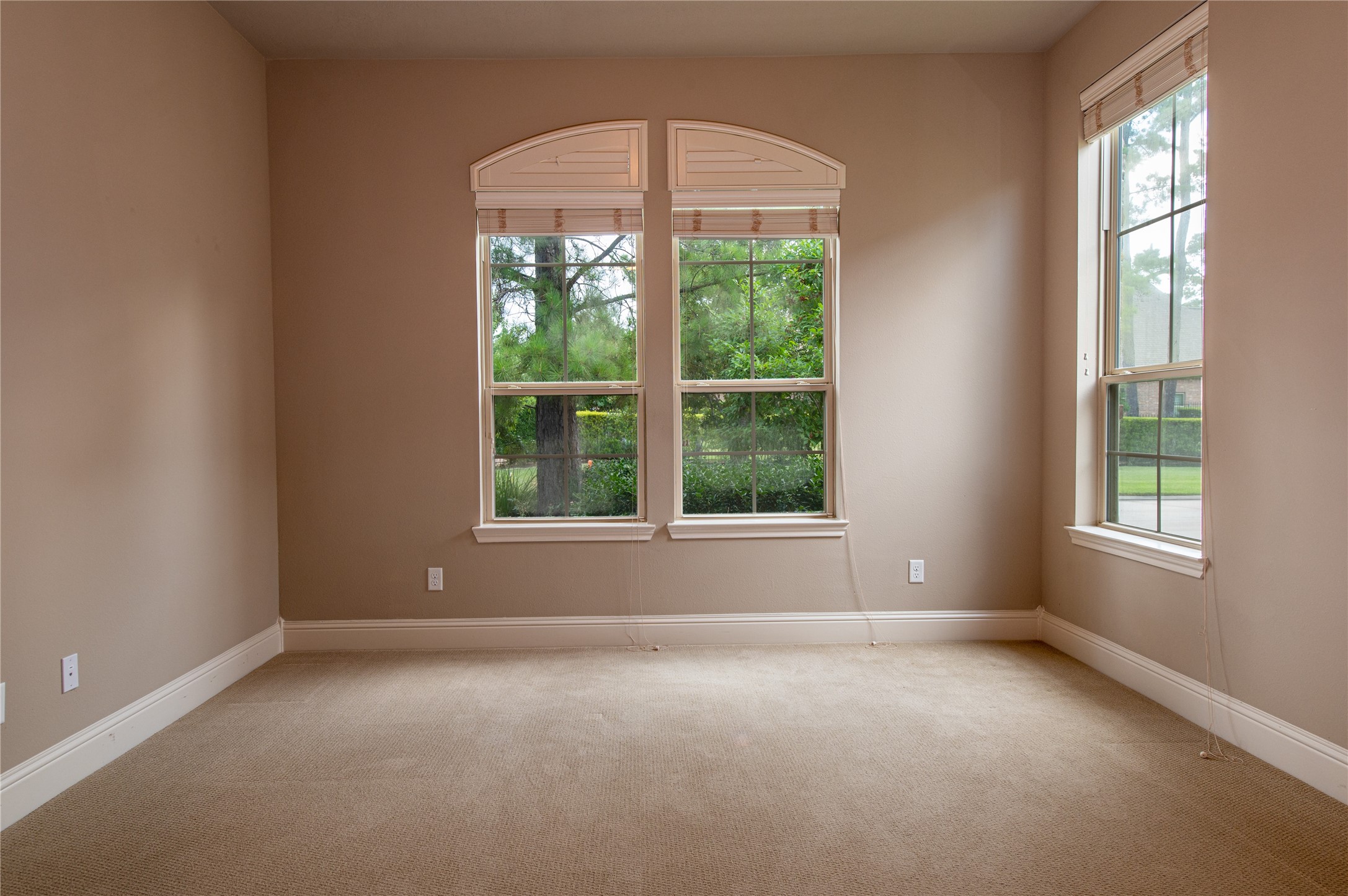 98 N Braided Branch Drive Property Photo 12