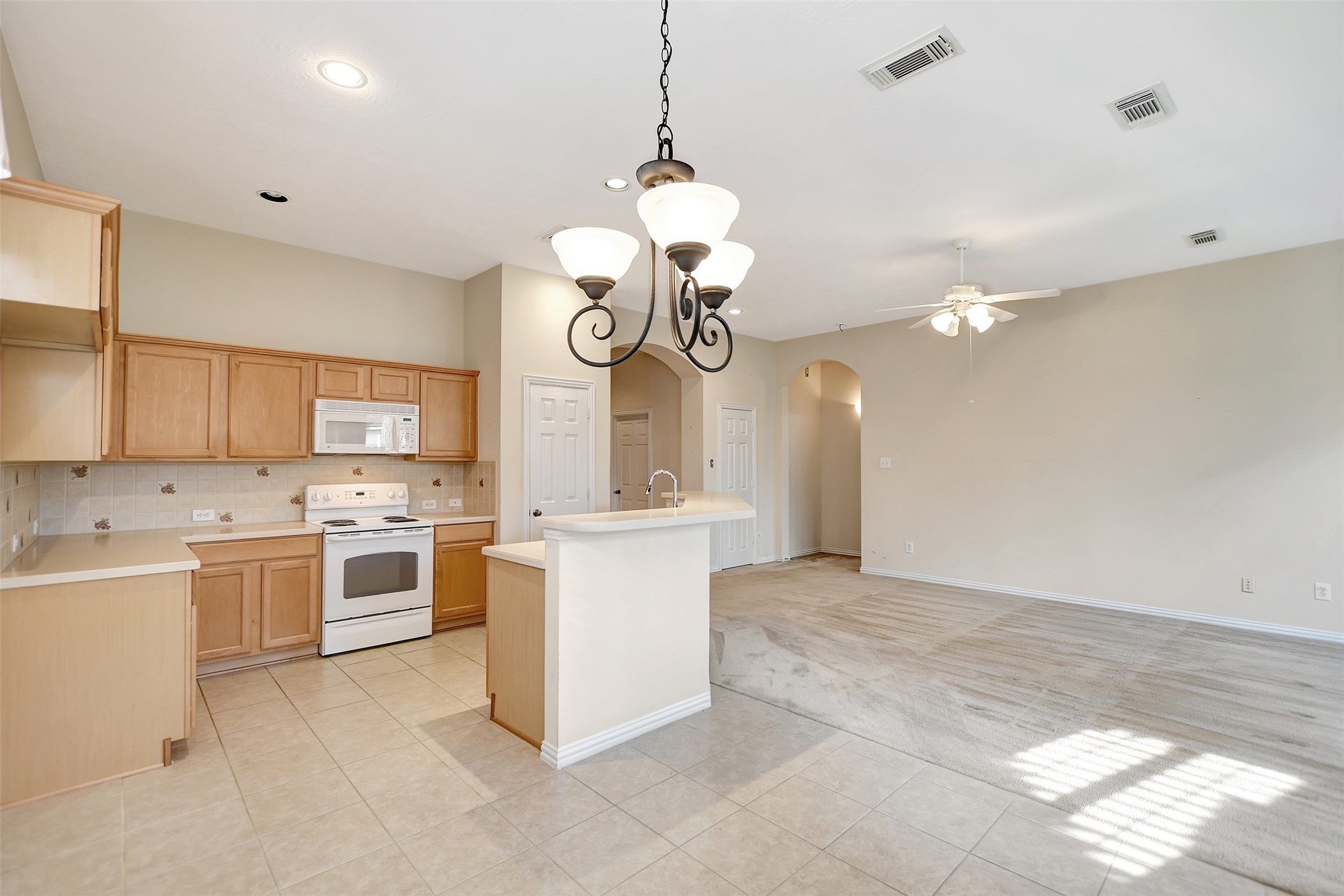14322 Bush Sage Drive Property Photo 19