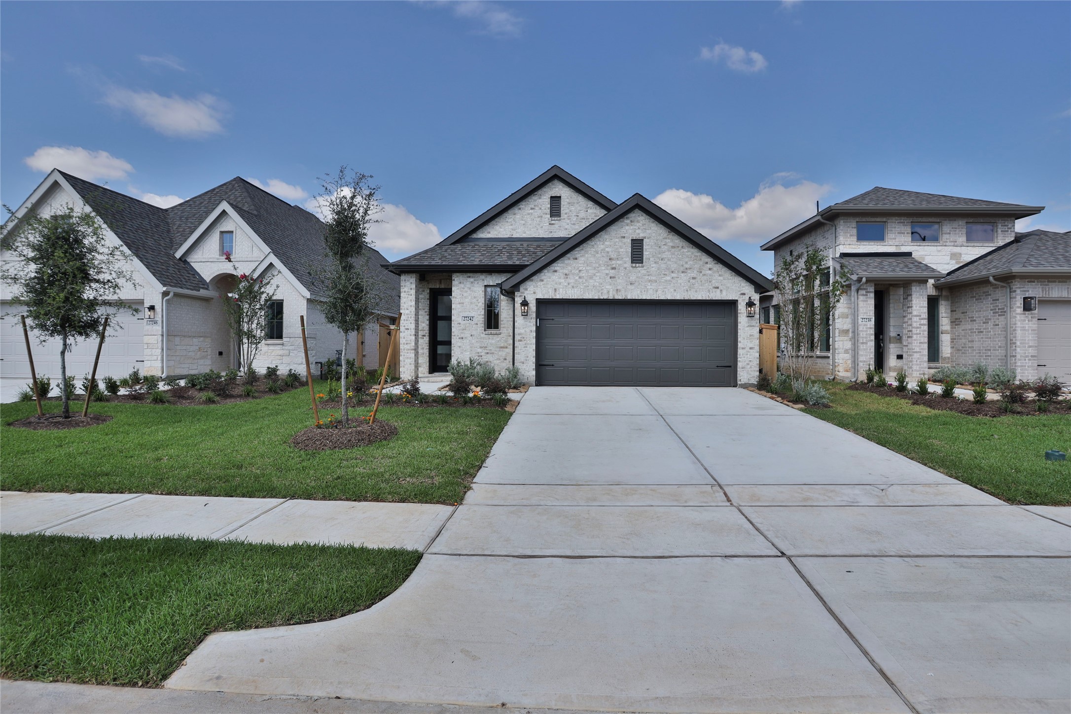 27242 Scarlet Paint Brush Drive Property Photo 1