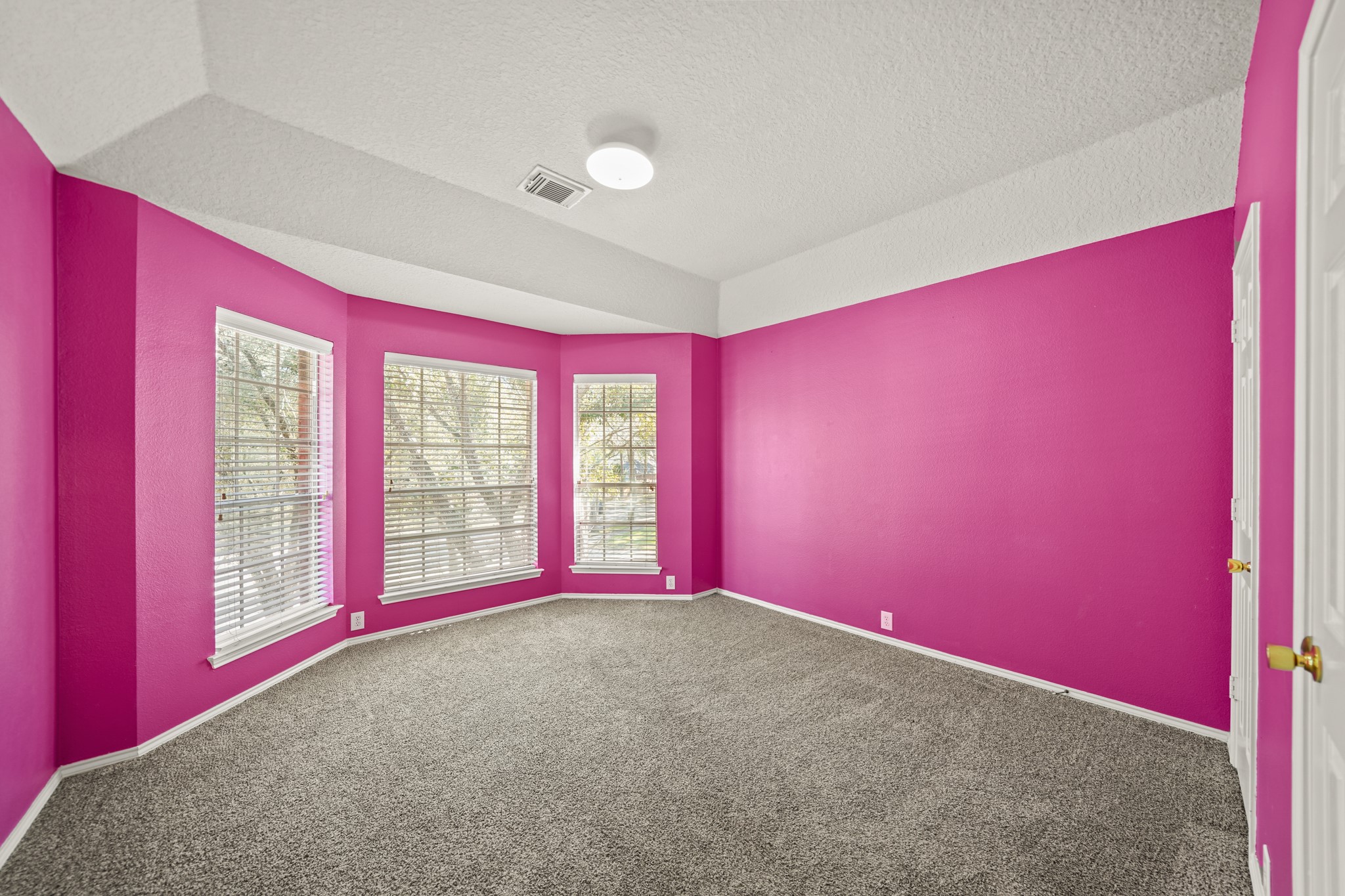 423 Thorpe Springs Drive Property Photo 24