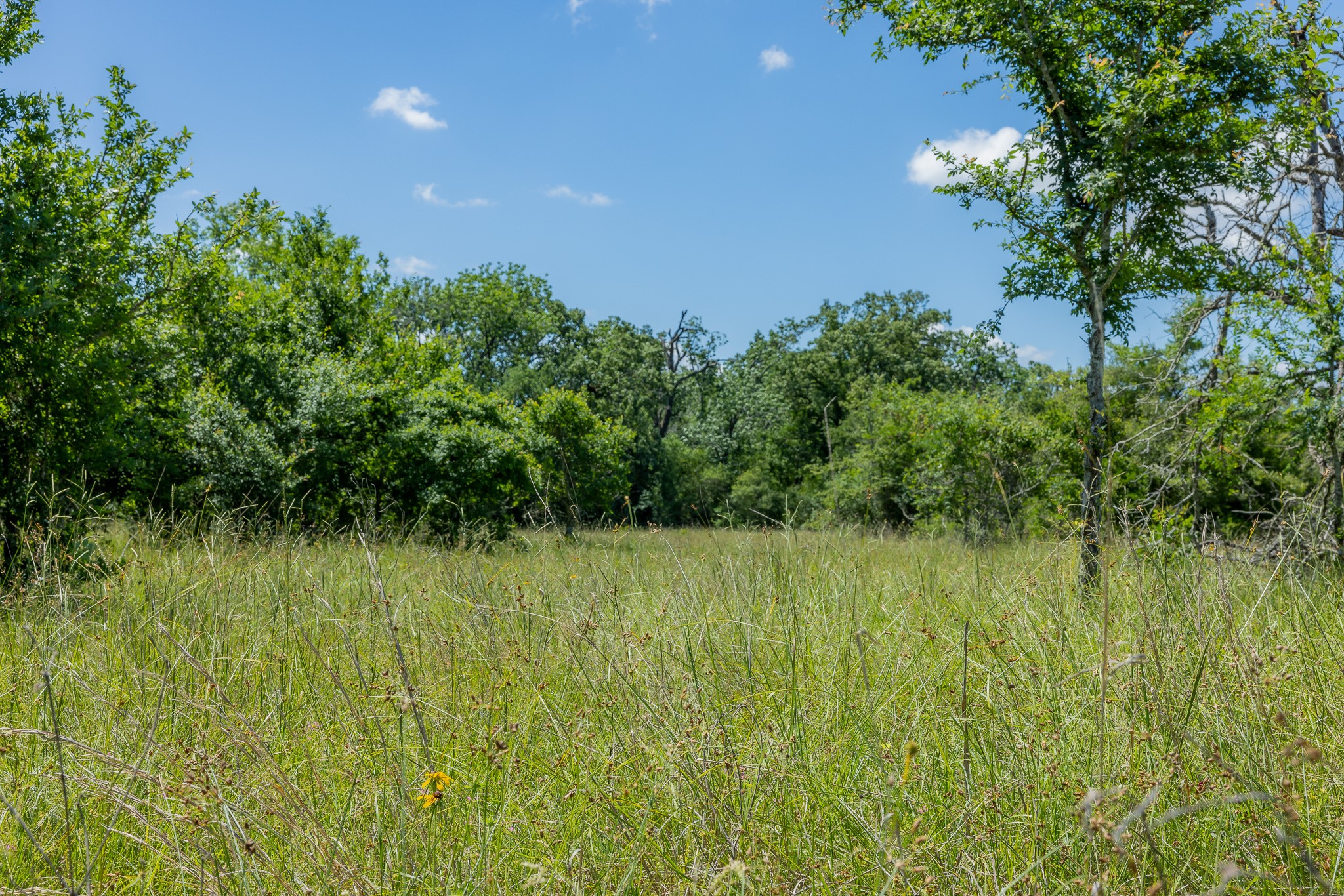 6584 Atakapan Trail Property Photo 1