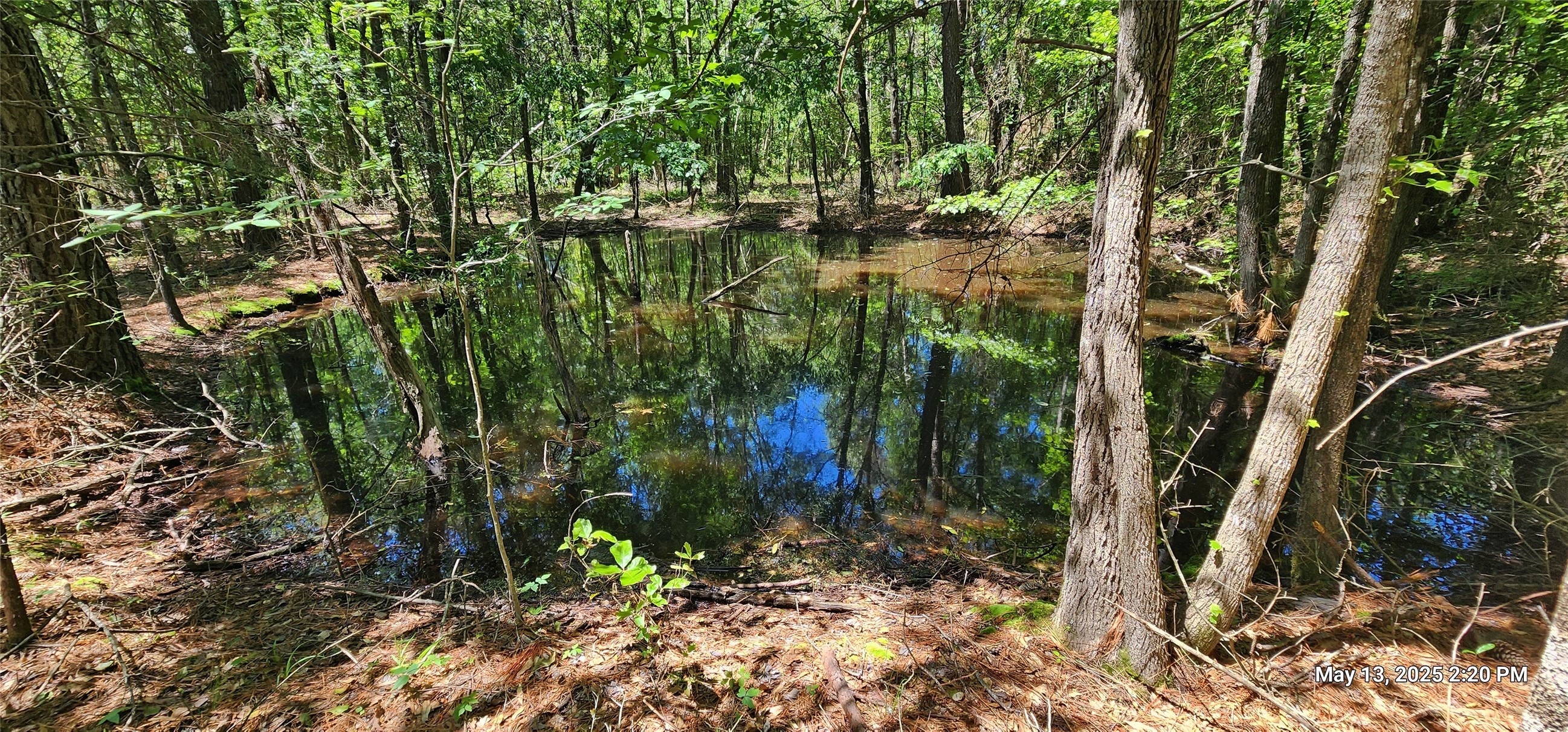 Tbd Cr 3233 And Cr 3230 Property Photo 1