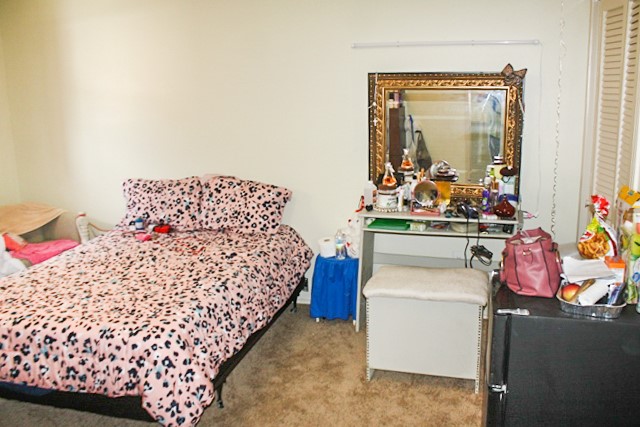 821 S Ripple Creek Drive 1 Property Photo 13