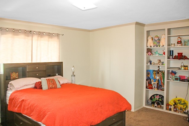 821 S Ripple Creek Drive 1 Property Photo 16