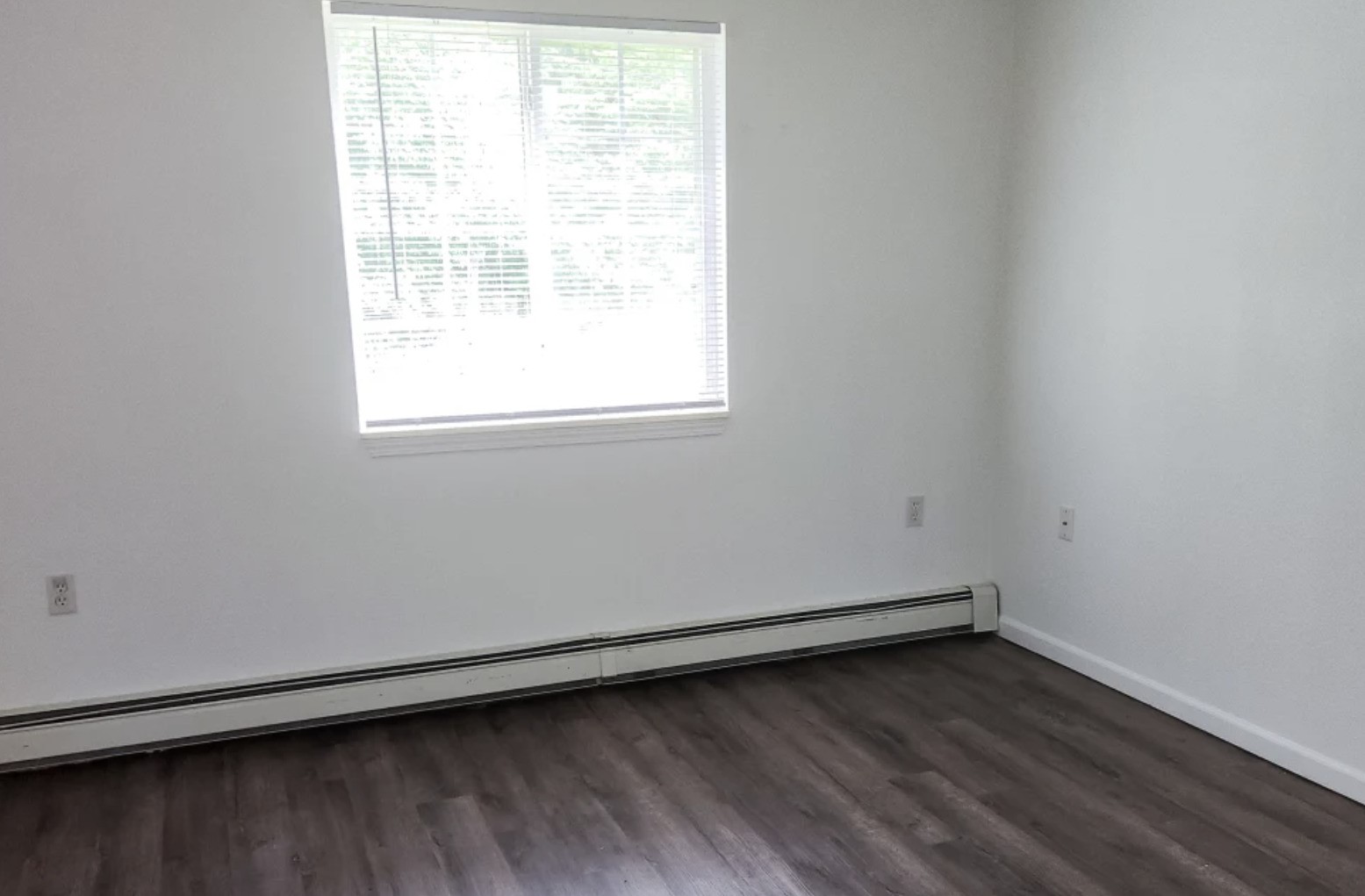 31950 Clark St Property Photo 13