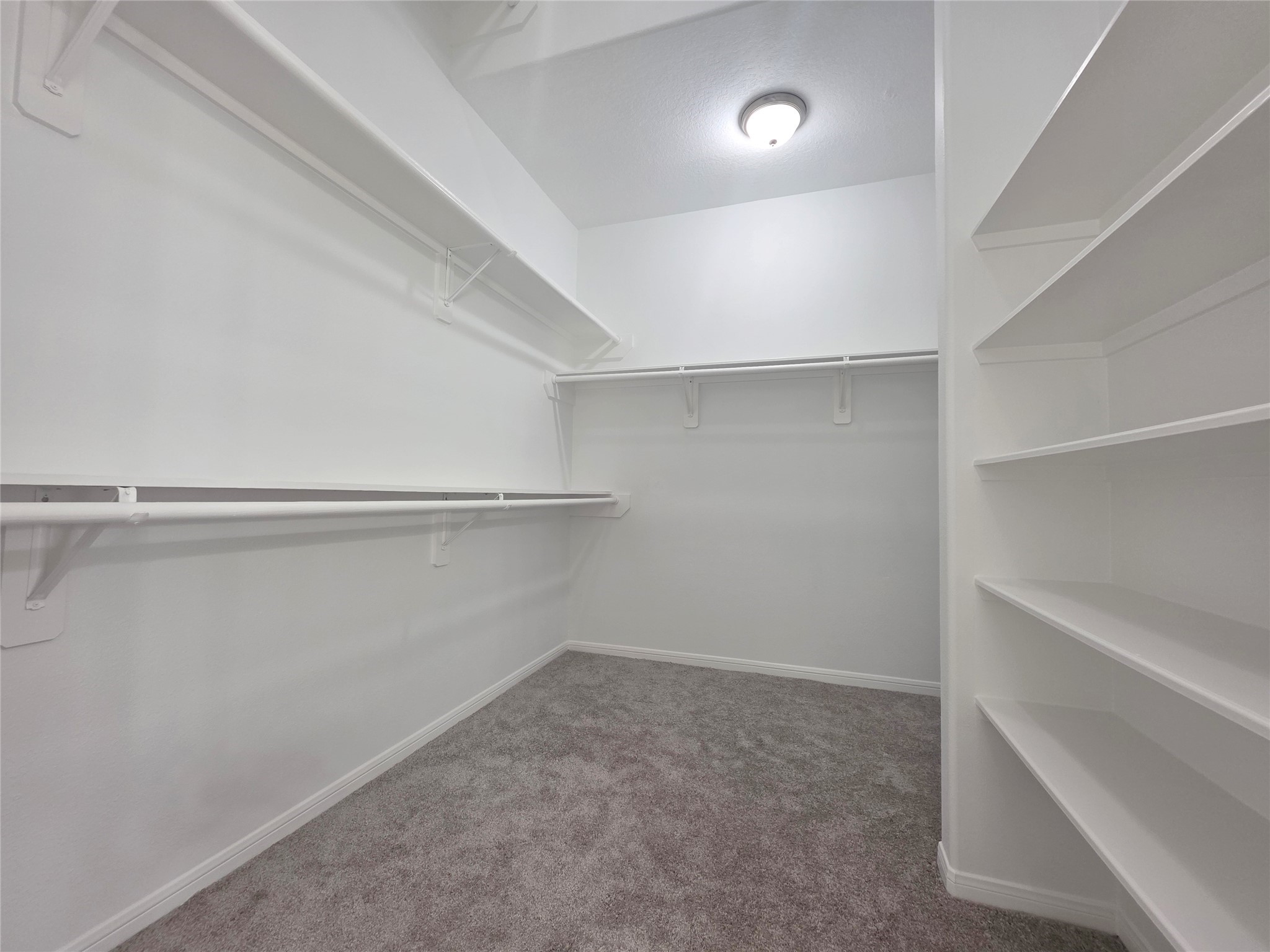 3319 Lily Pond Court Property Photo 17