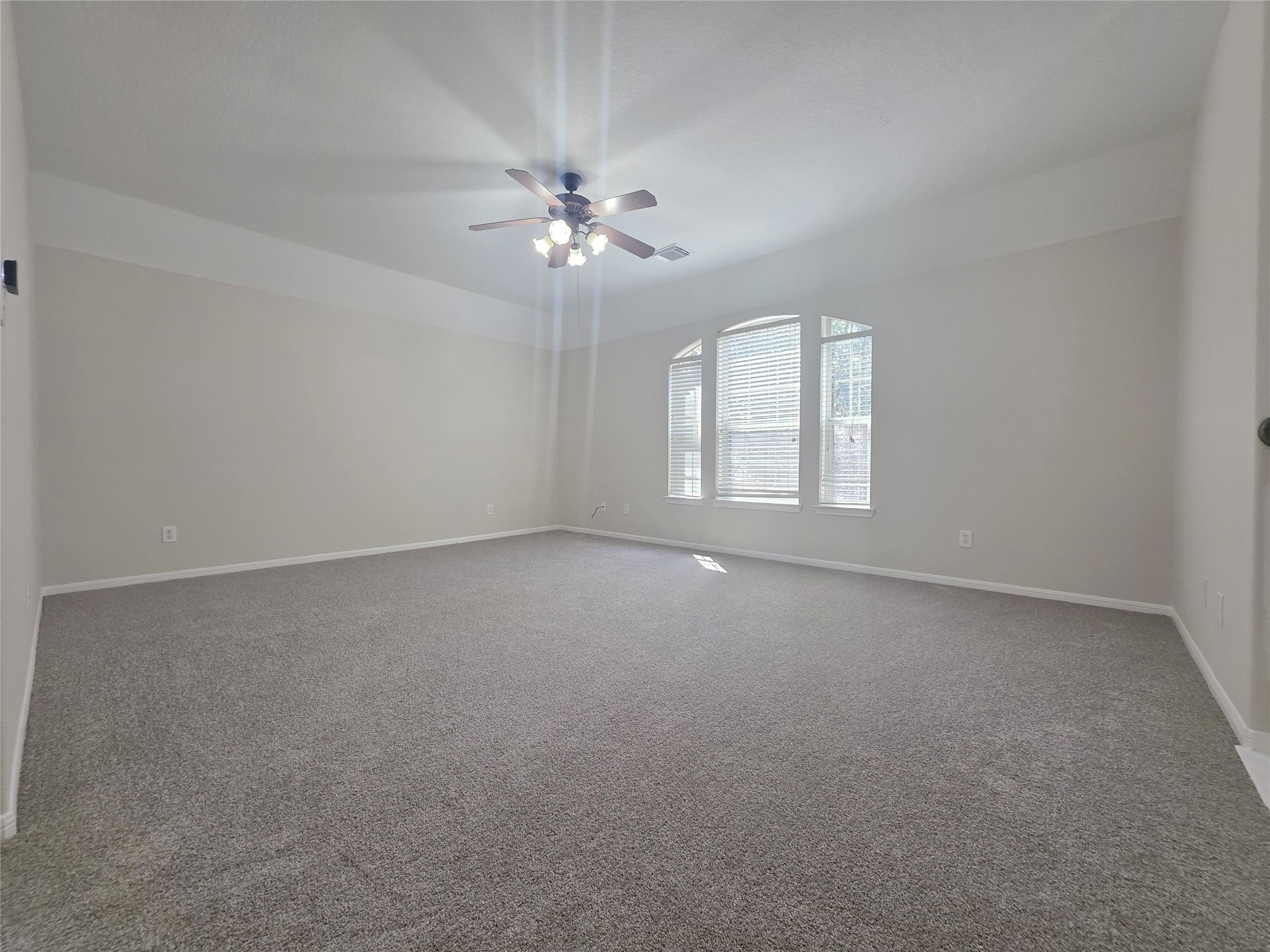 3319 Lily Pond Court Property Photo 19