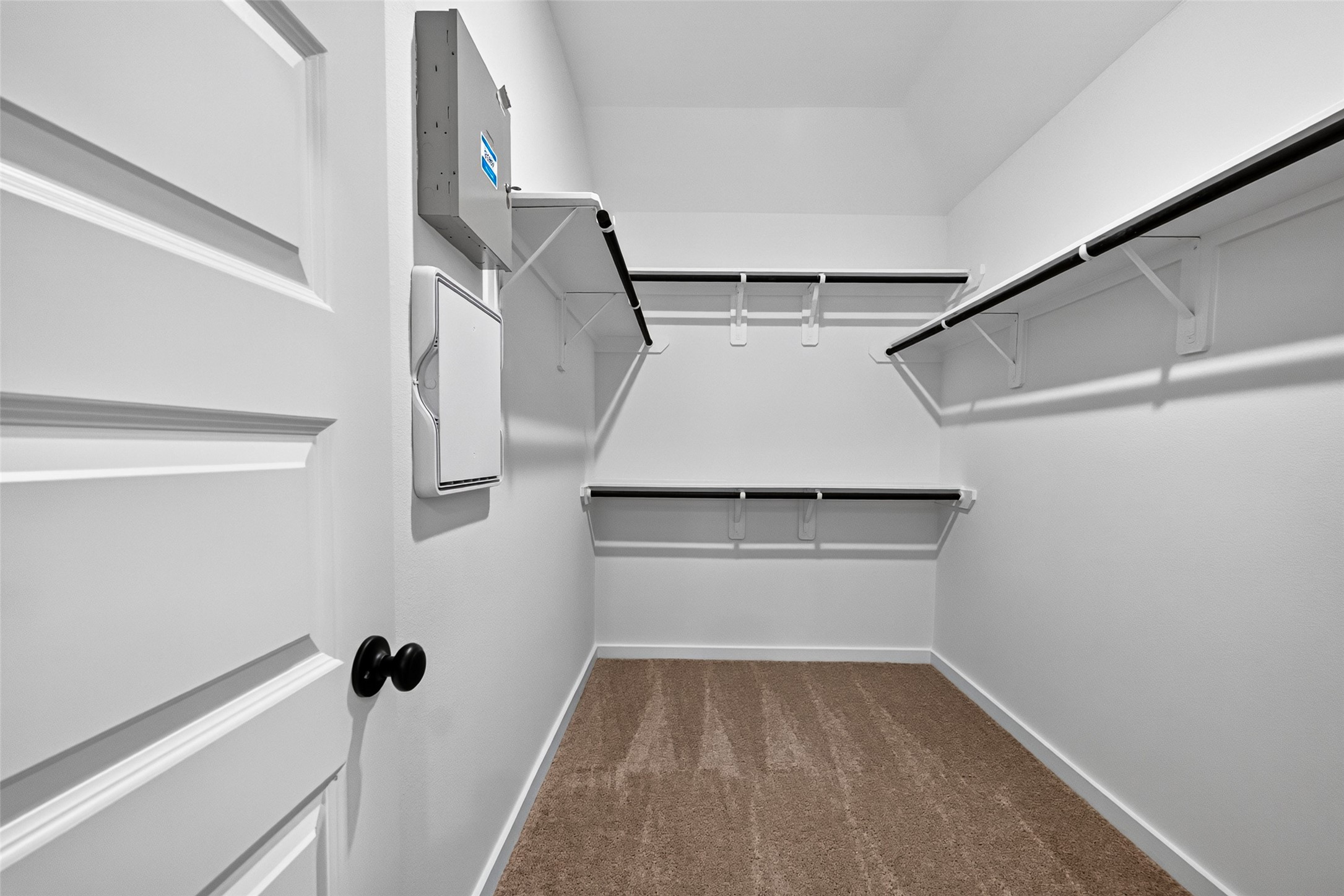 3503 Sago Palm Dr Property Photo 42