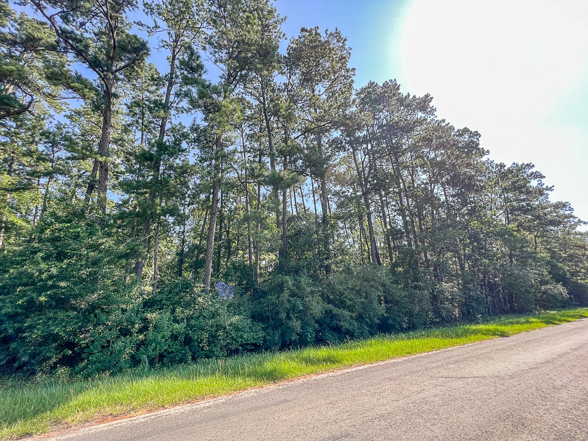 1 Fm 1008 Property Photo 1
