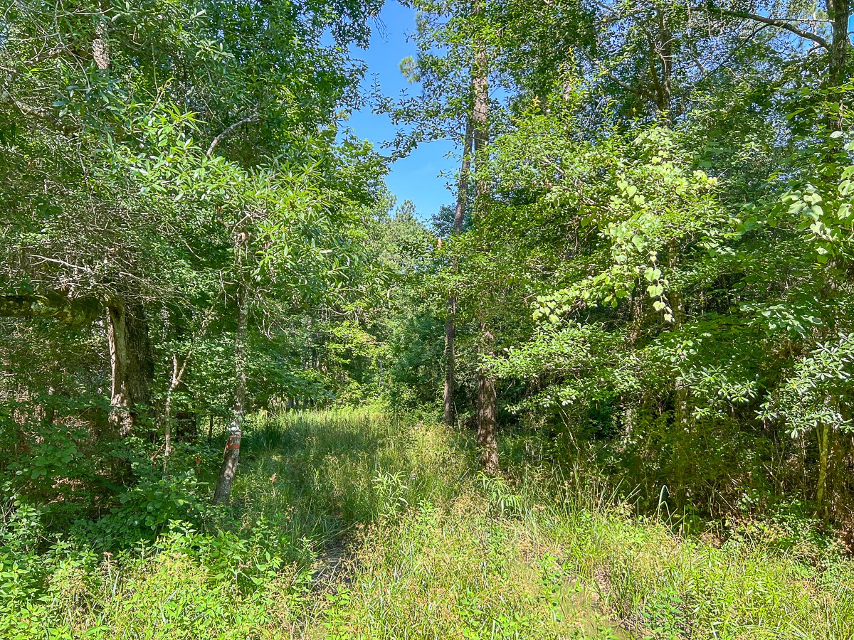 1 Fm 1008 Property Photo 10