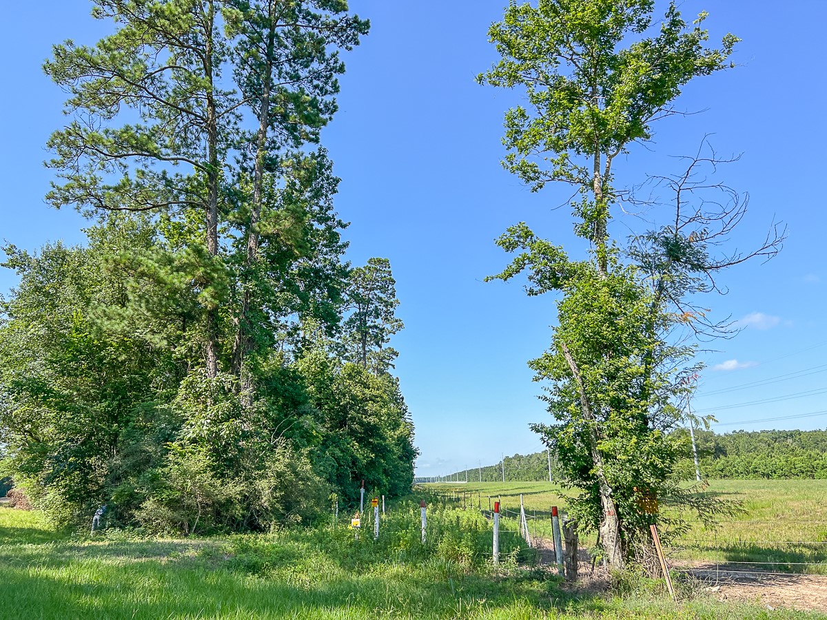 1 Fm 1008 Property Photo 12