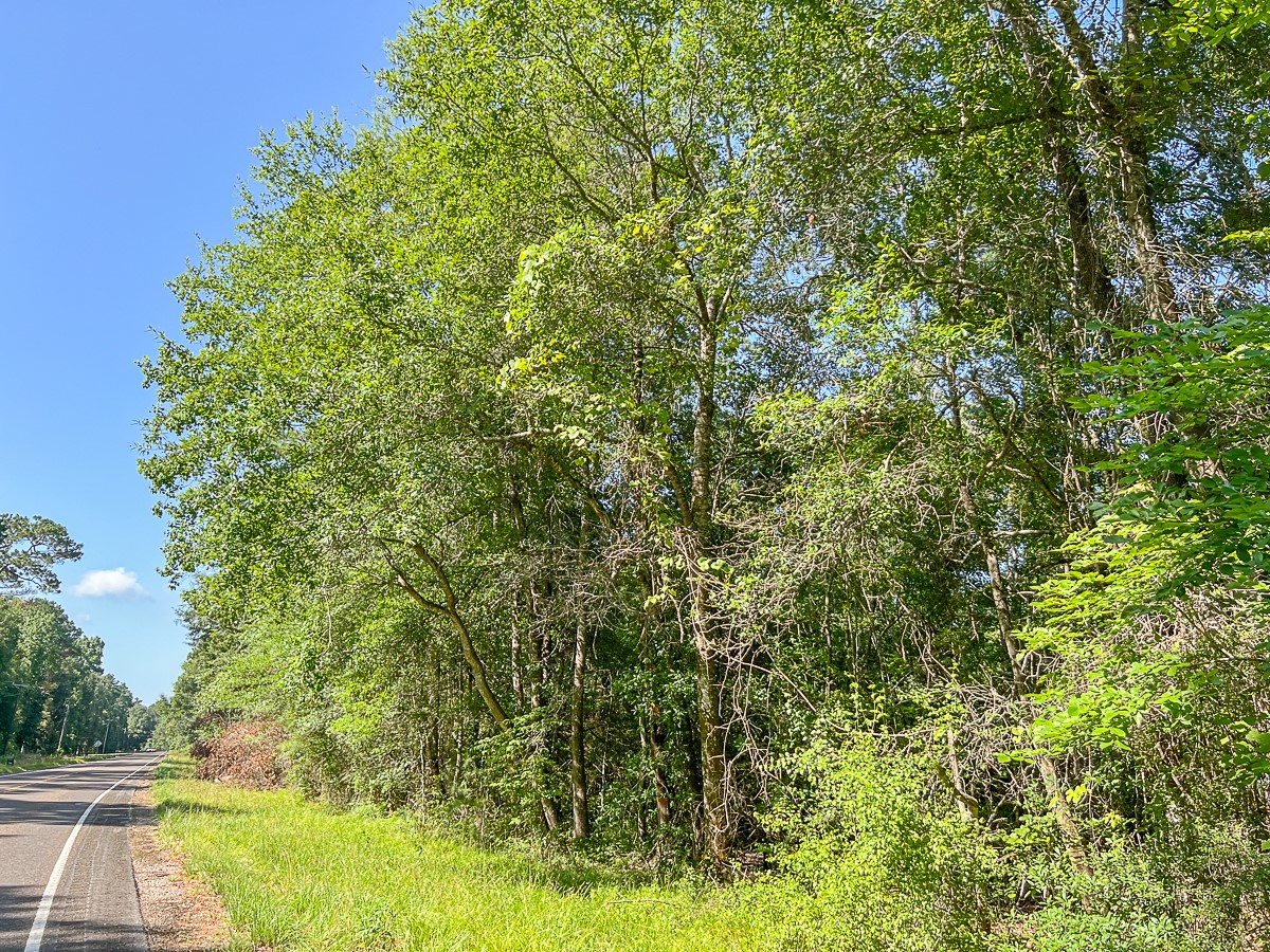 1 Fm 1008 Property Photo 14