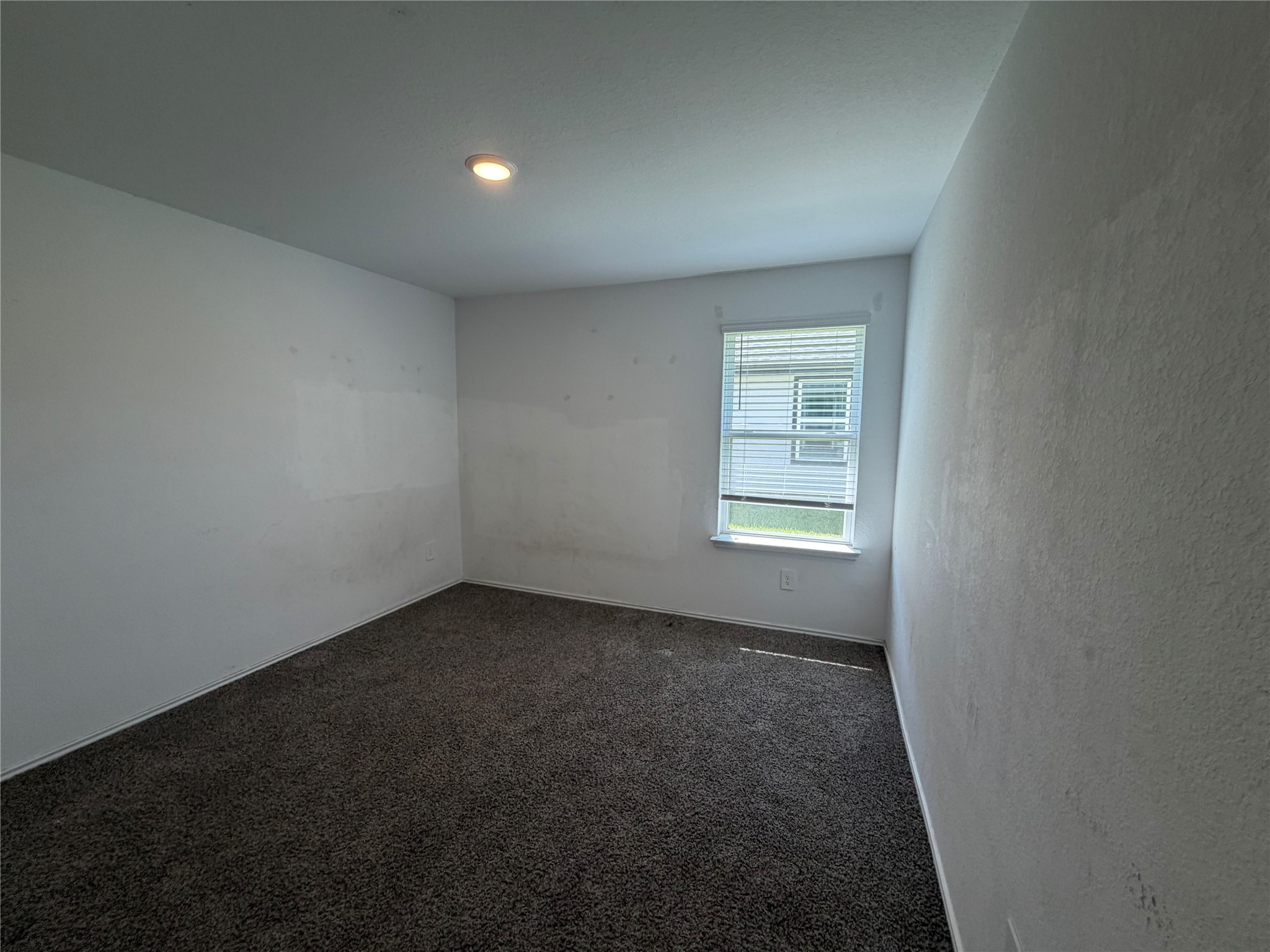 7419 Audubon Russet Drive Property Photo 13
