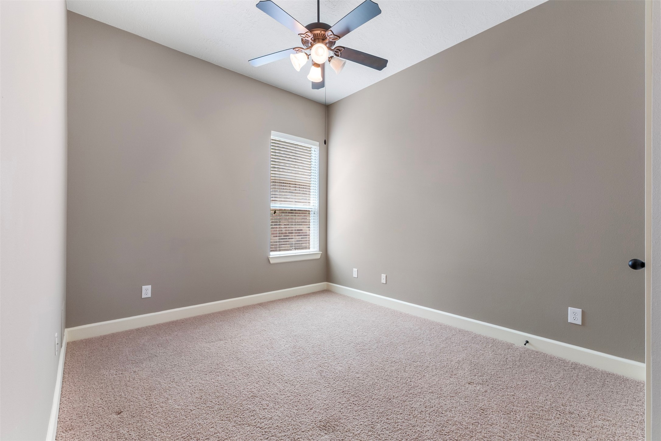 12518 Baldwin Springs Court Property Photo 31