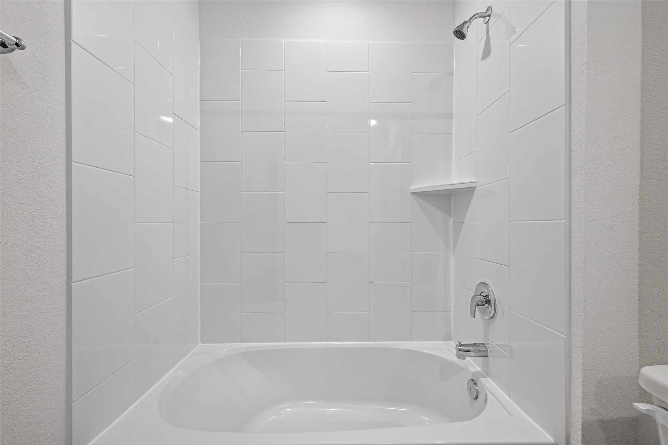 31214 Carmelas Landing Drive Property Photo 27