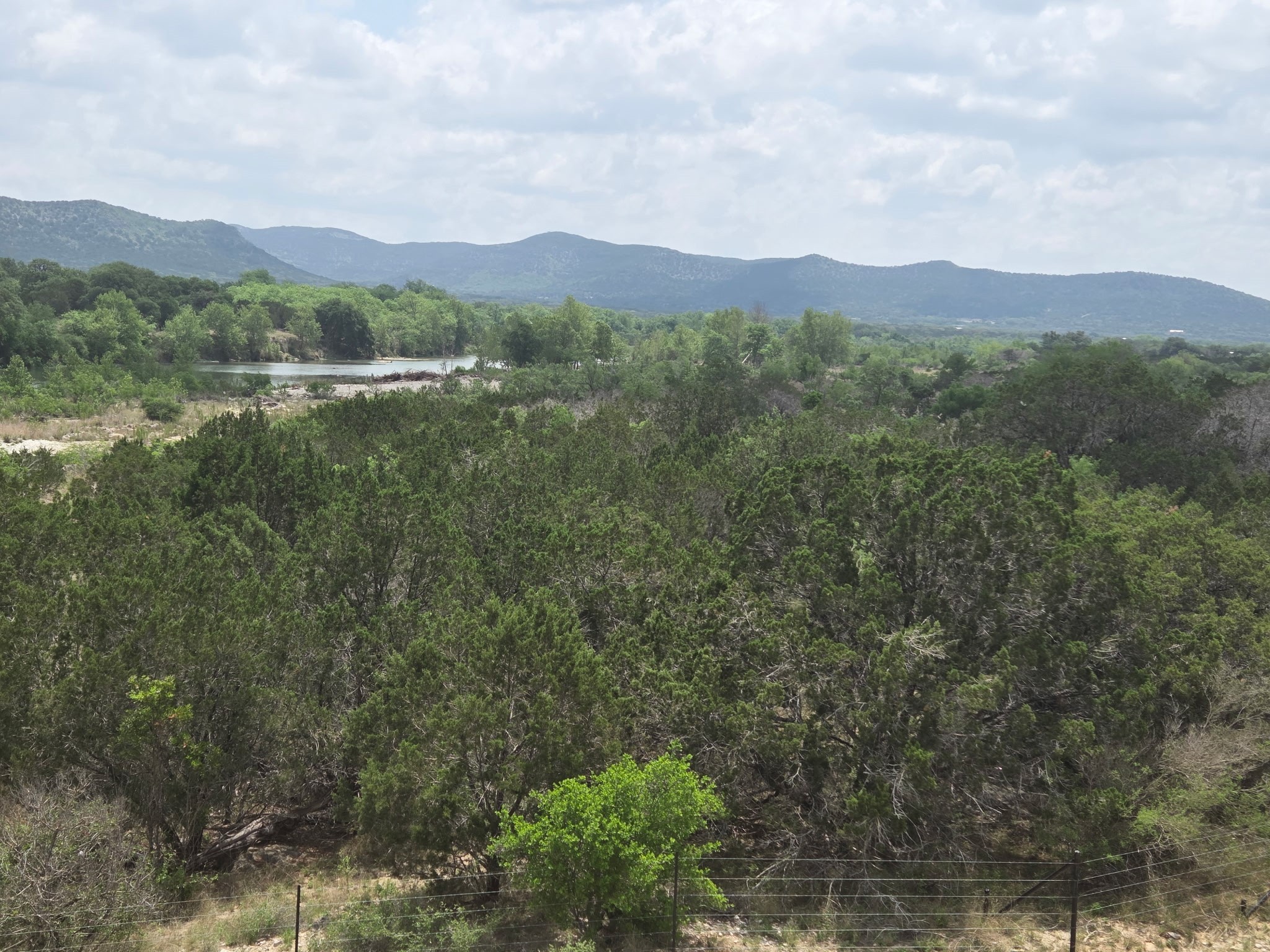 33360 Hwy 55 Property Photo 6