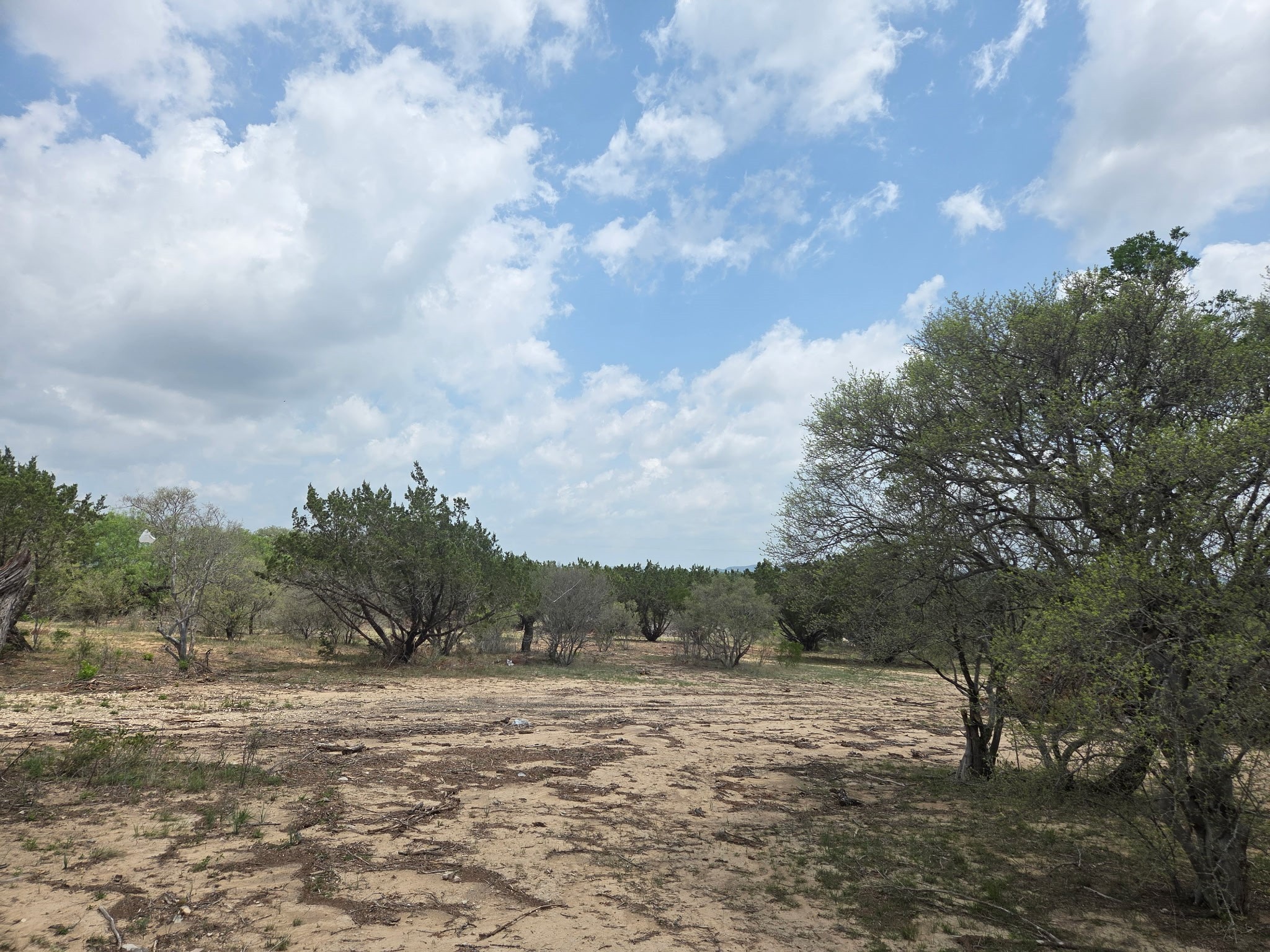 33360 Hwy 55 Property Photo 7