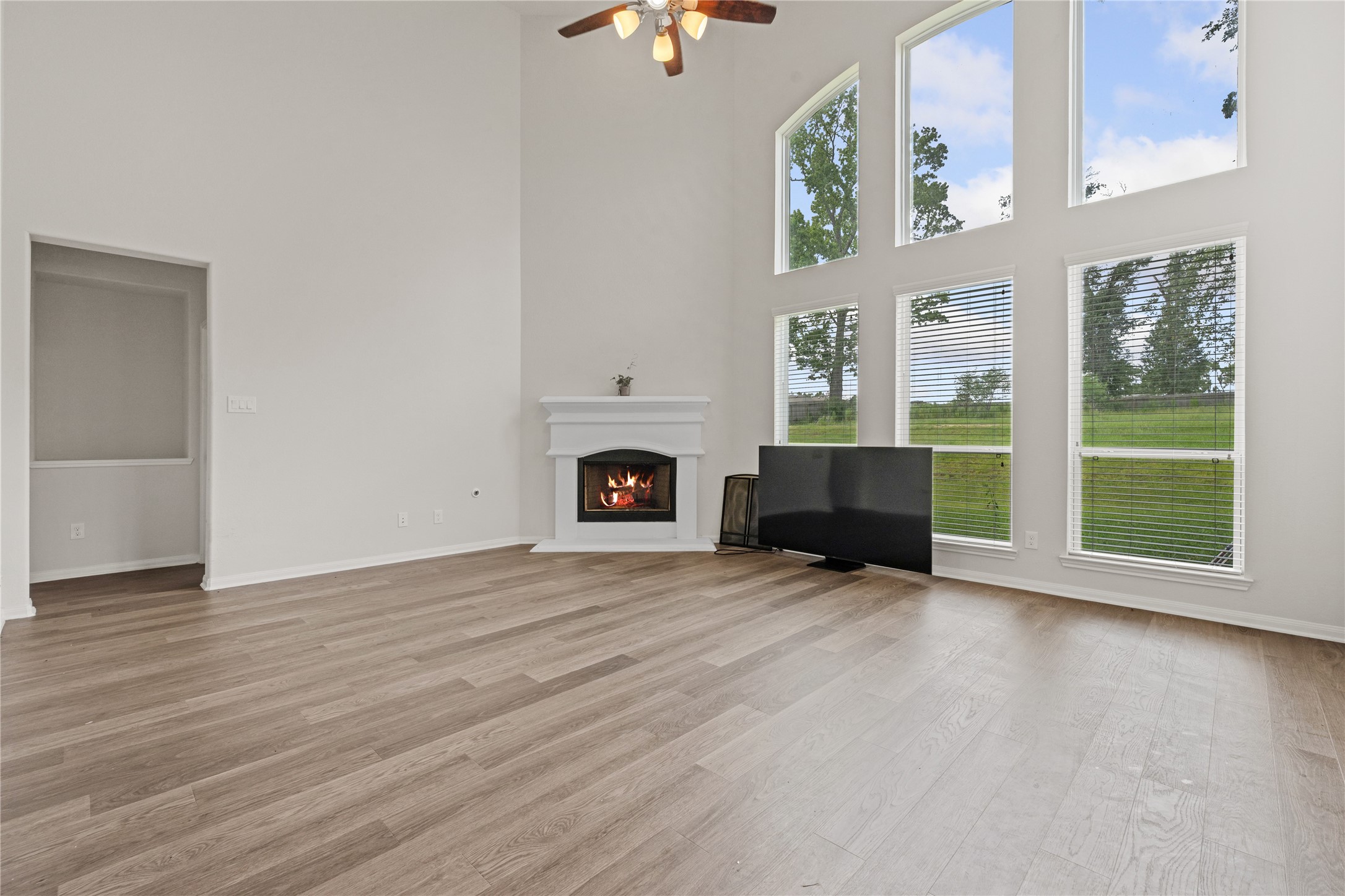 9559 Moss Rose Lane Property Photo 4