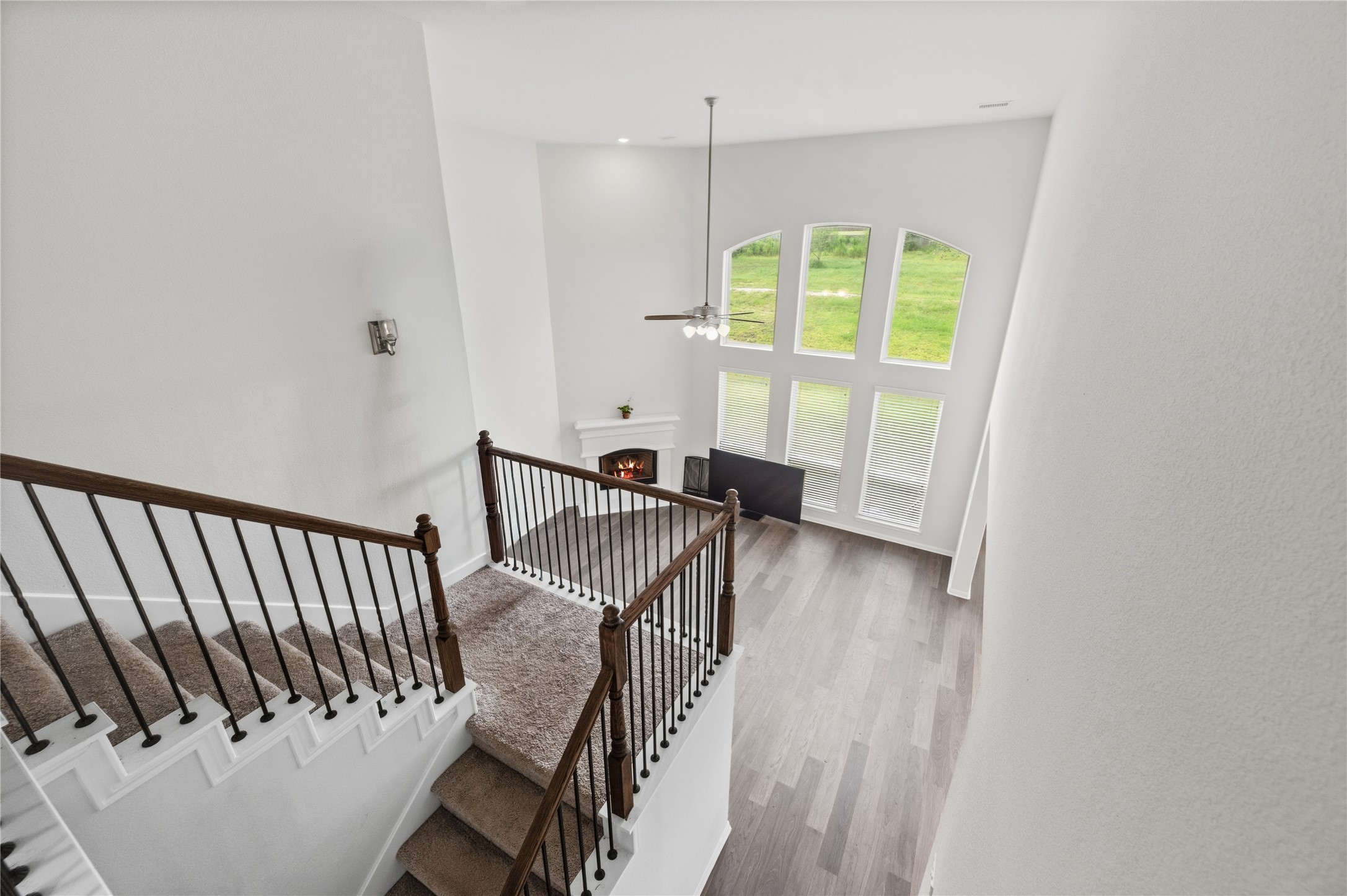 9559 Moss Rose Lane Property Photo 12