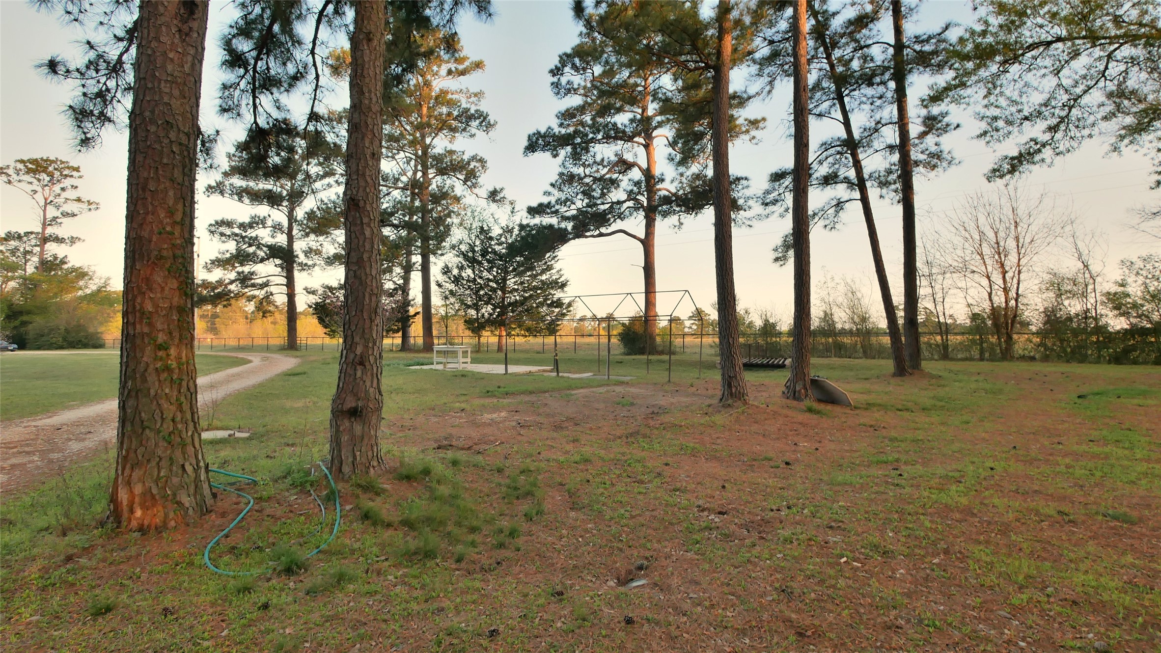 23478 Bays Chapel Road Property Photo 45