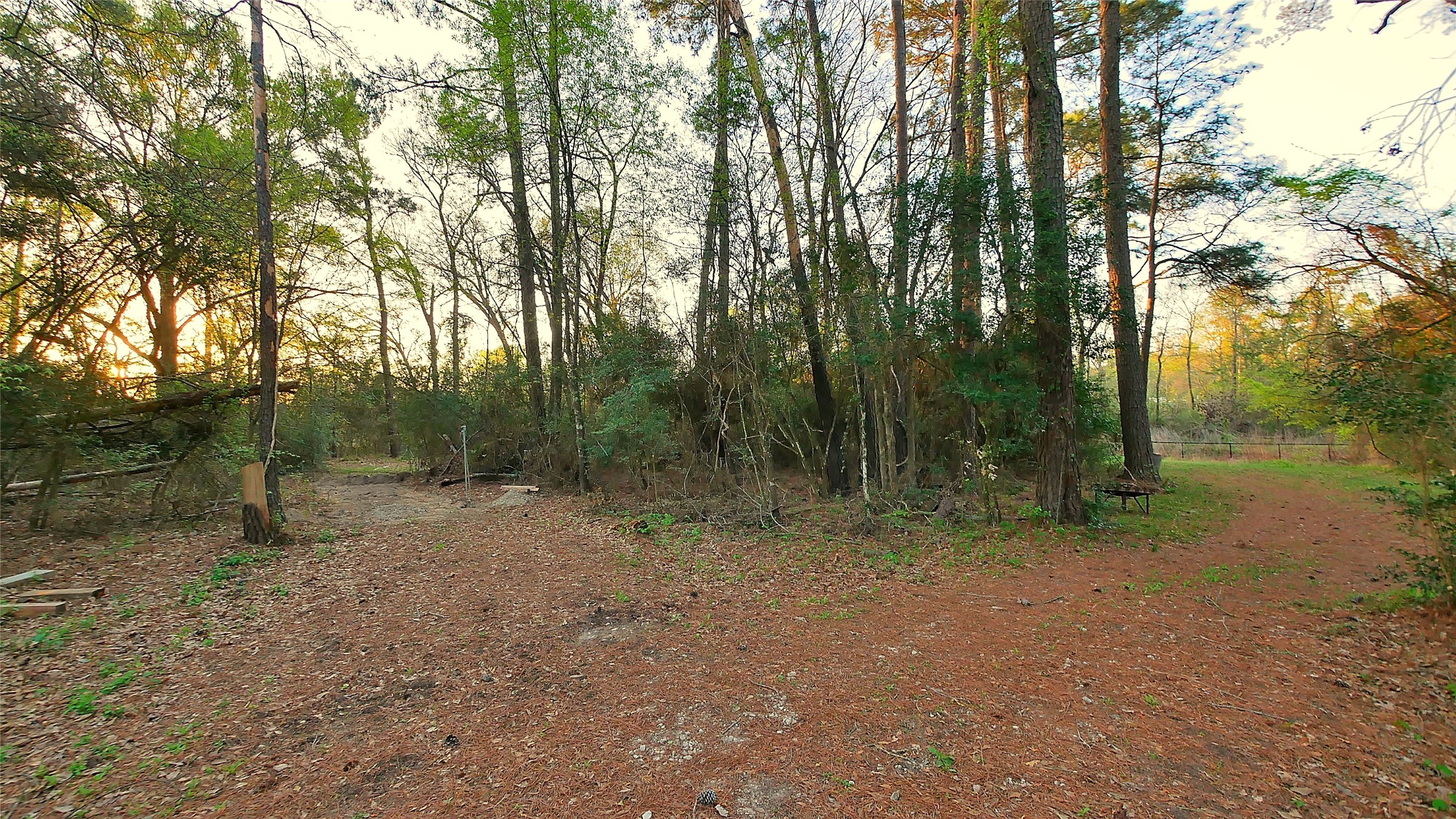 23478 Bays Chapel Road Property Photo 46