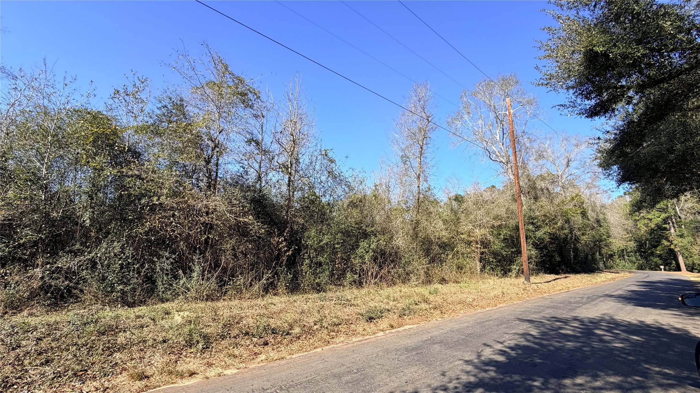 699 County Road 4800 Road W Property Photo 6