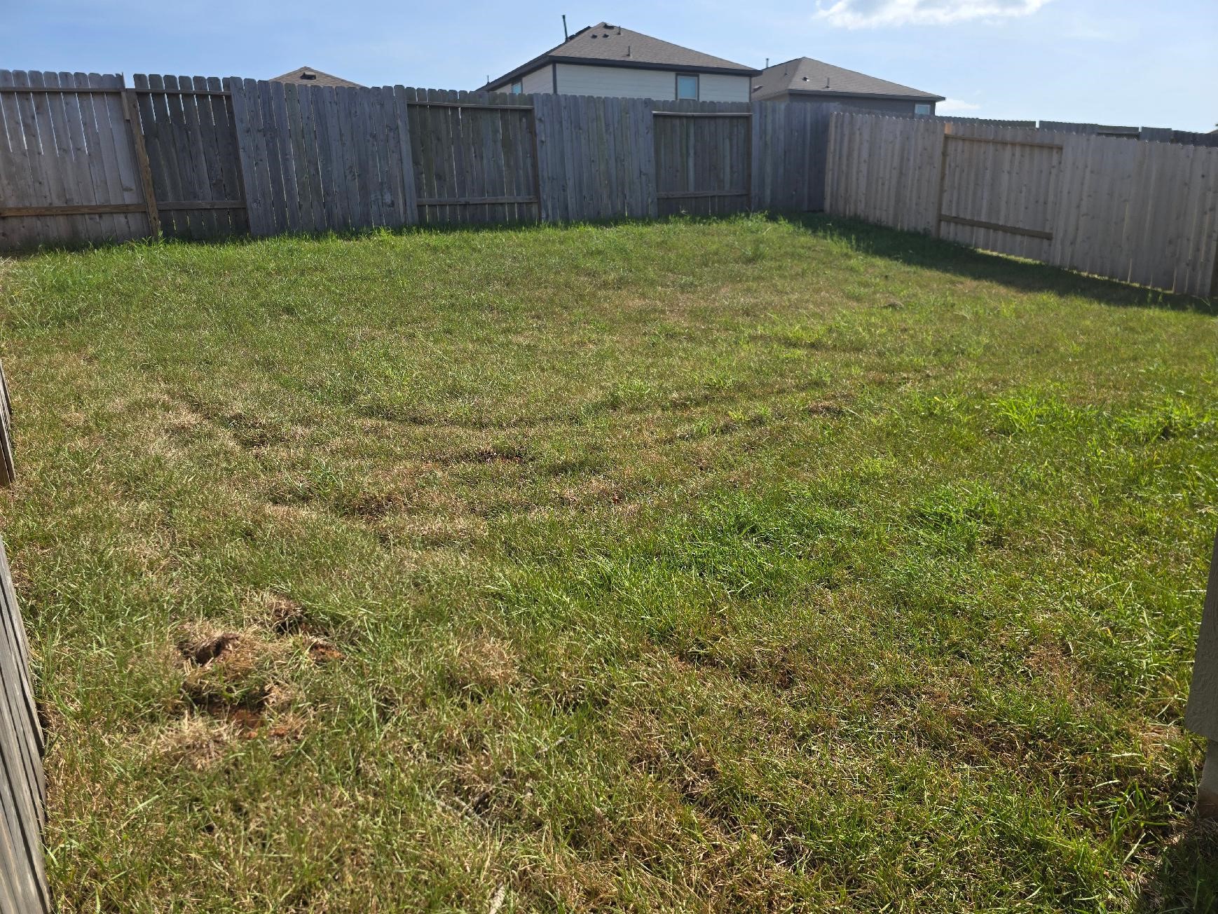 25557 Blossom Court Property Photo 18
