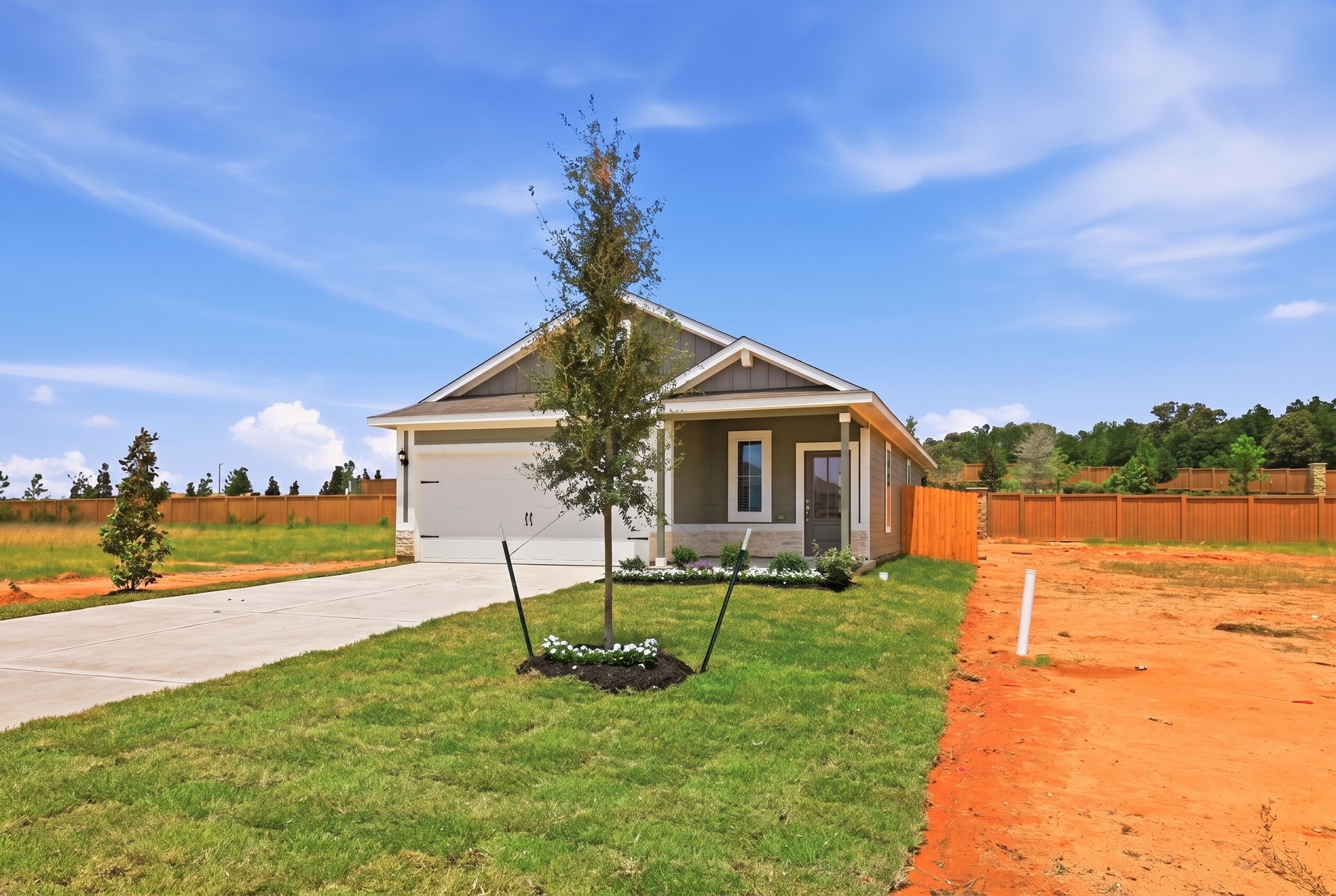 21683 Lotus Elm Street Property Photo 2