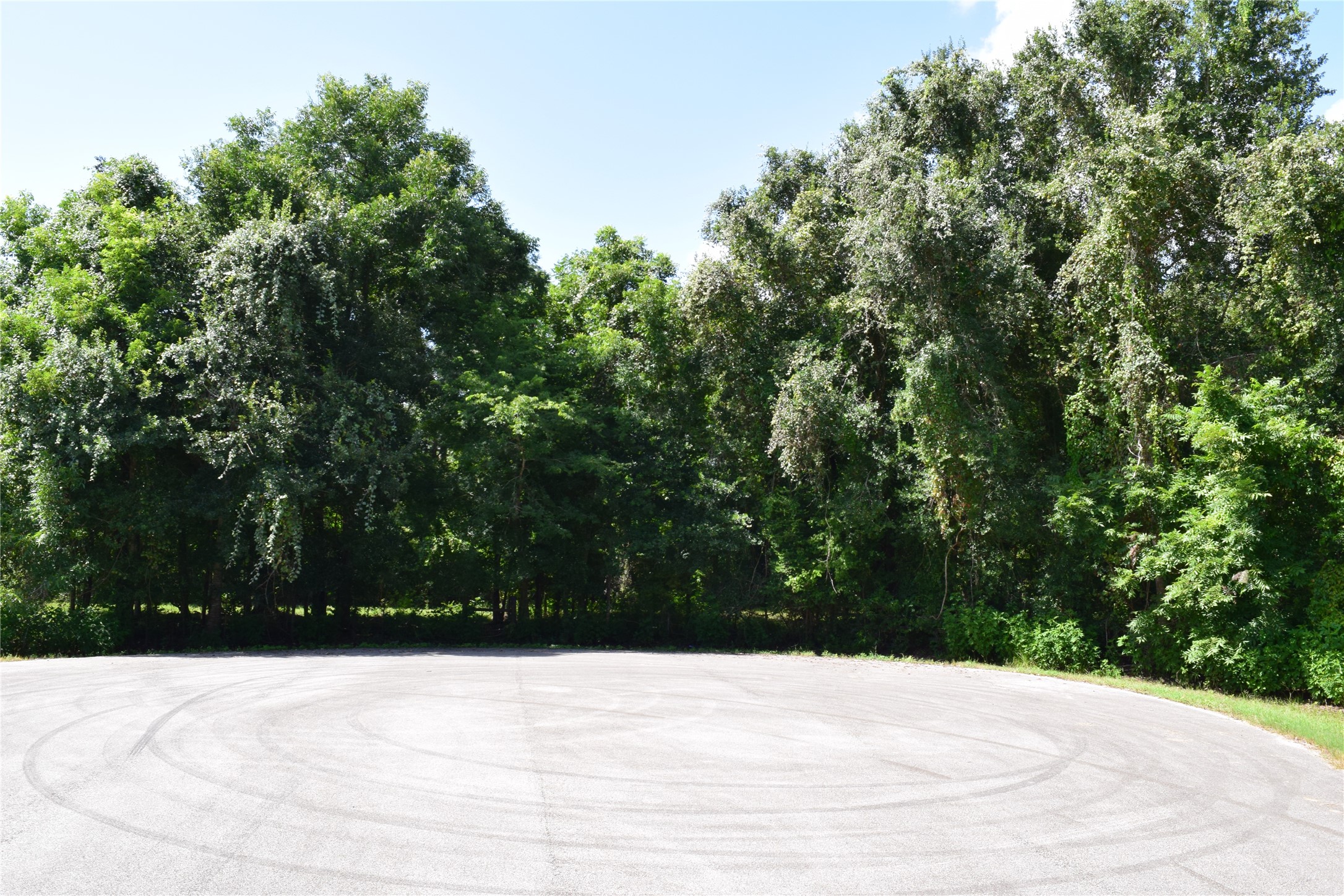 0 Colony Drive Property Photo 4