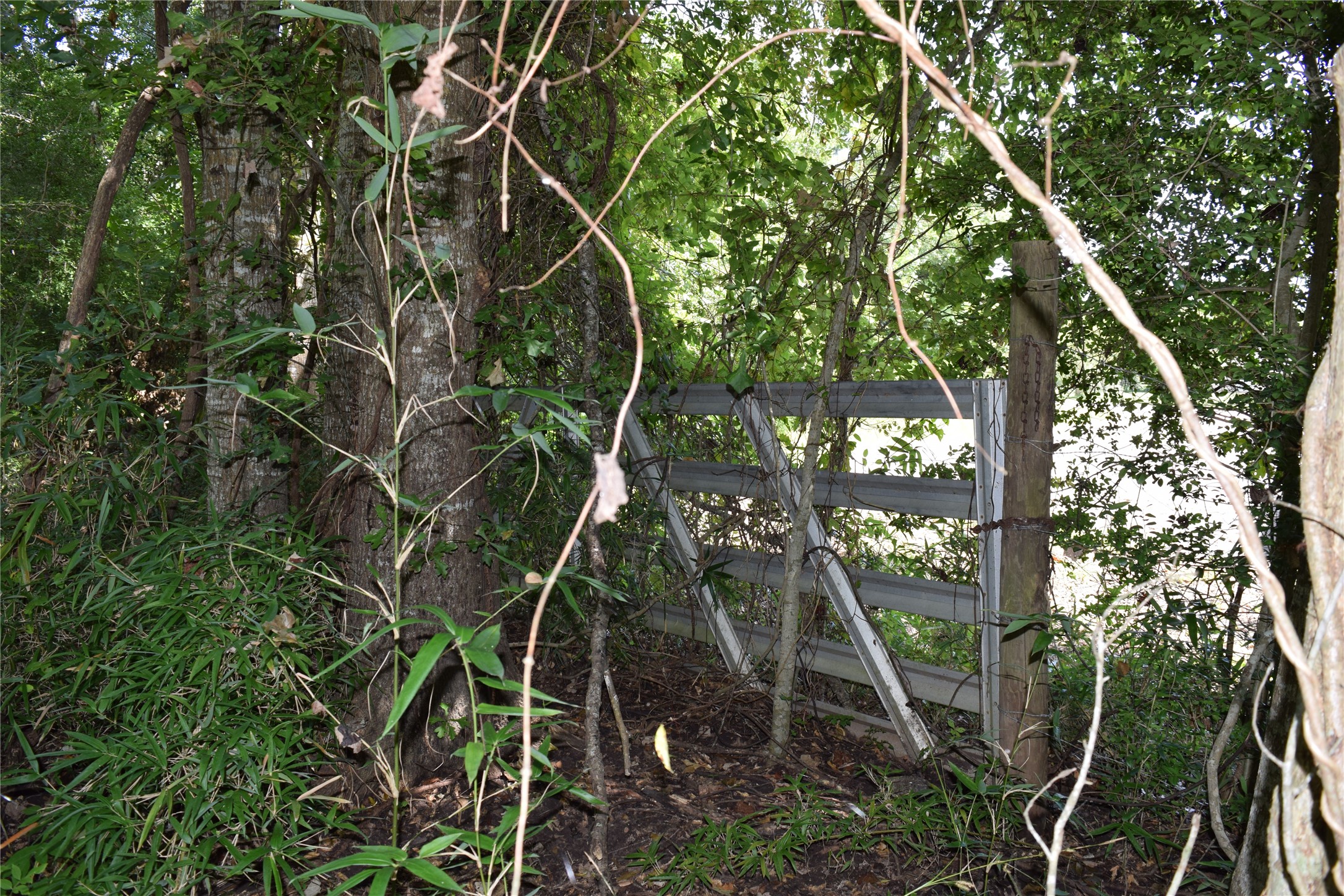 0 Colony Drive Property Photo 6