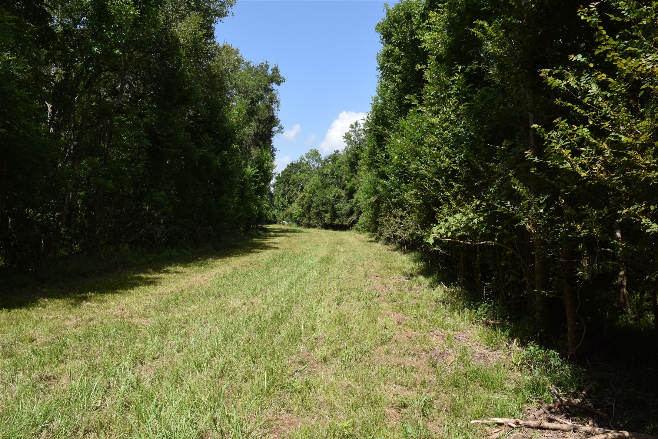 0 Colony Drive Property Photo 12