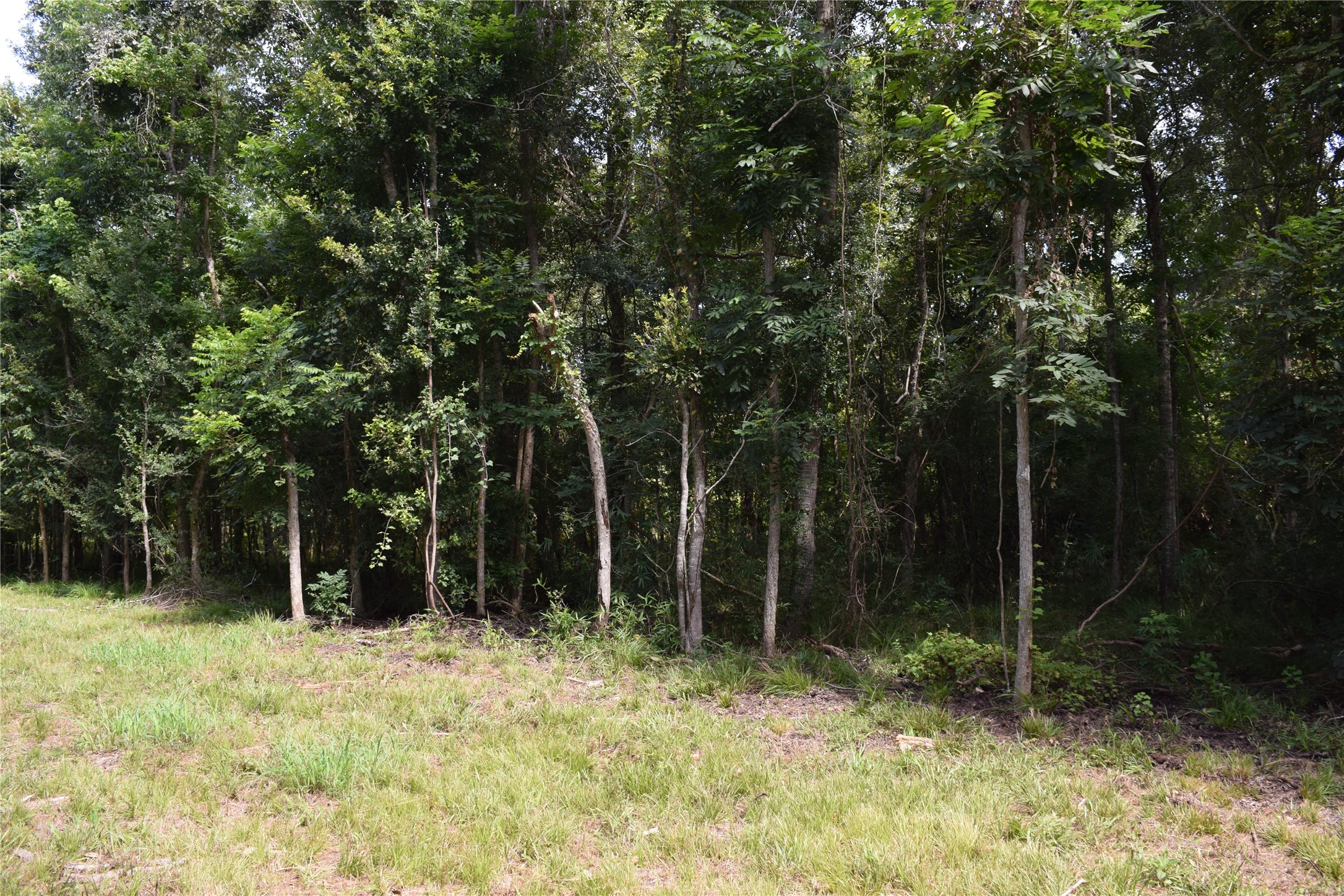 0 Colony Drive Property Photo 13