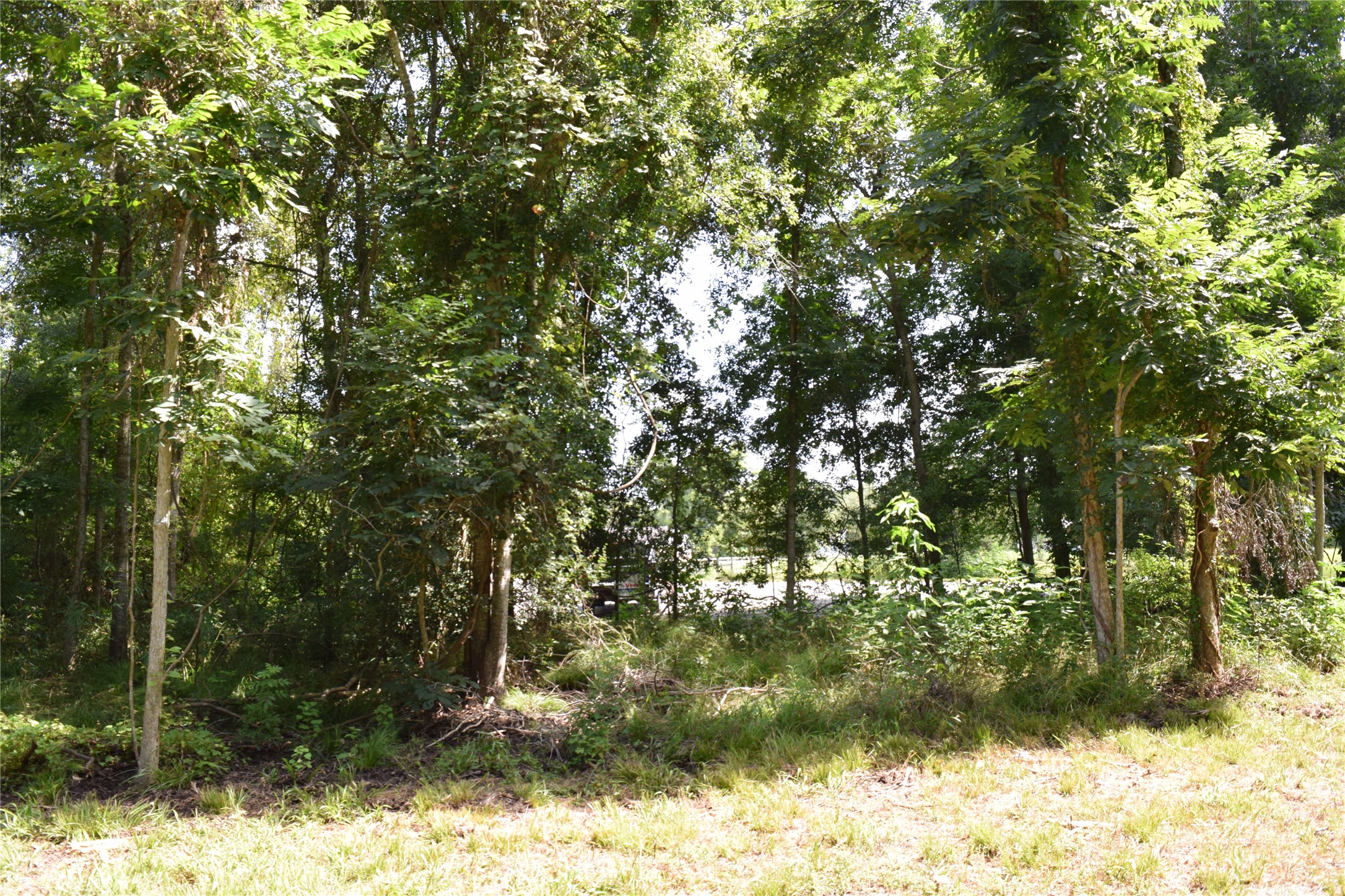 0 Colony Drive Property Photo 14