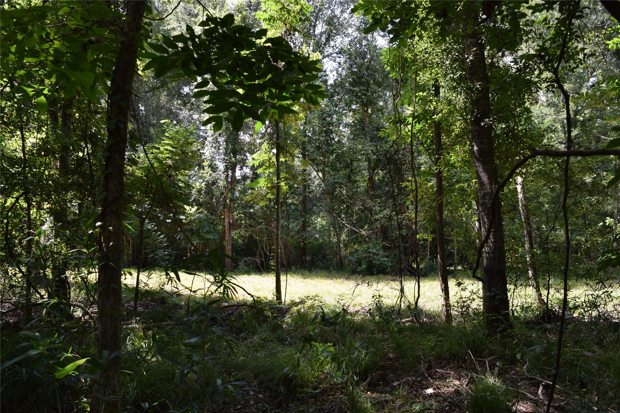 0 Colony Drive Property Photo 17