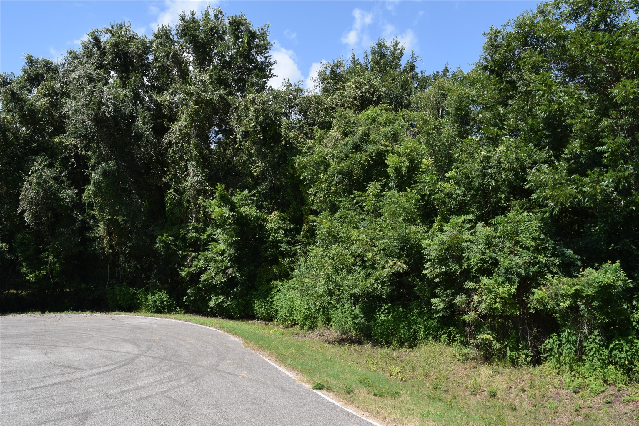 0 Colony Drive Property Photo 20