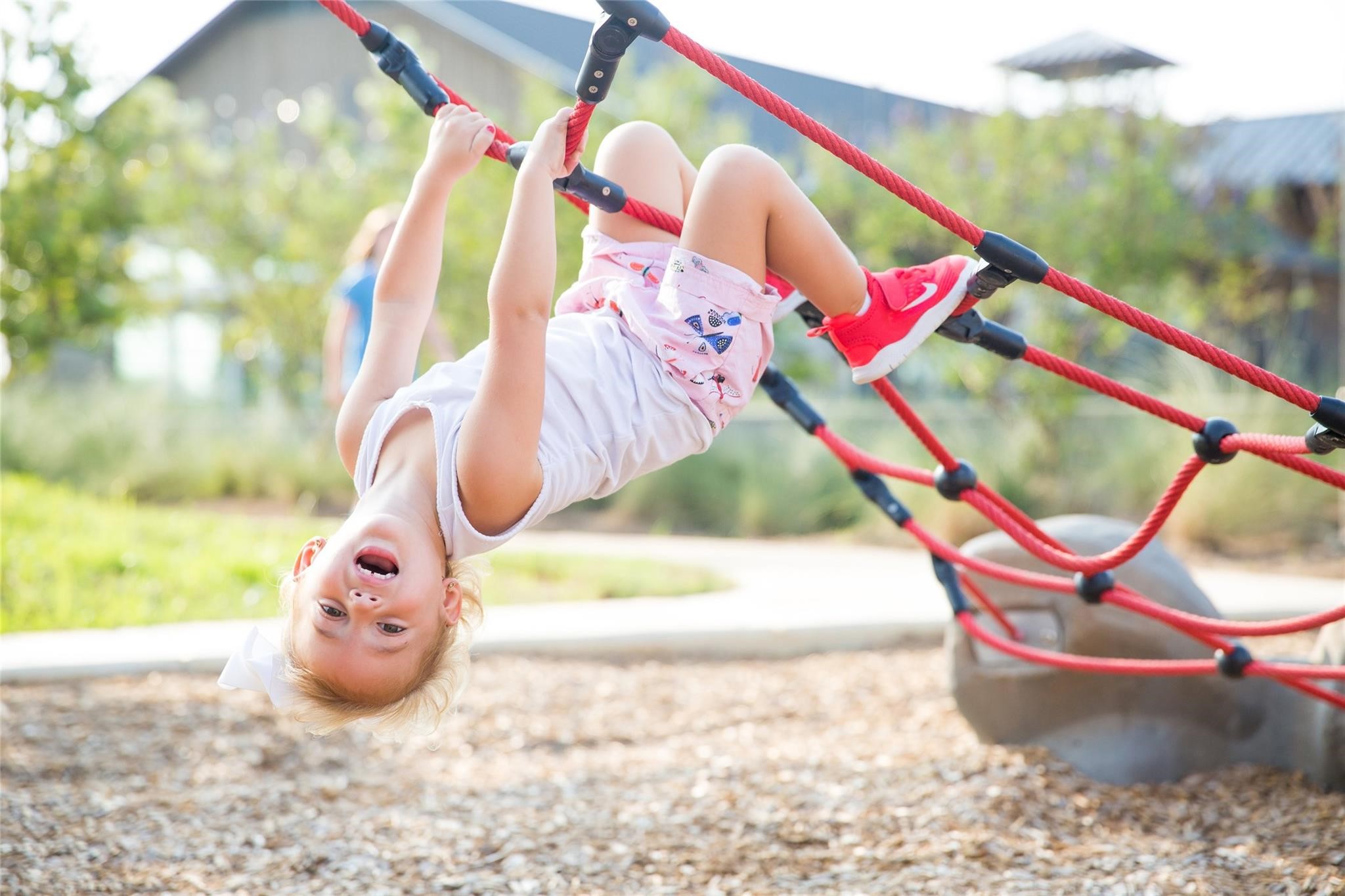 2907 Orange Leaf Drive Property Photo 40