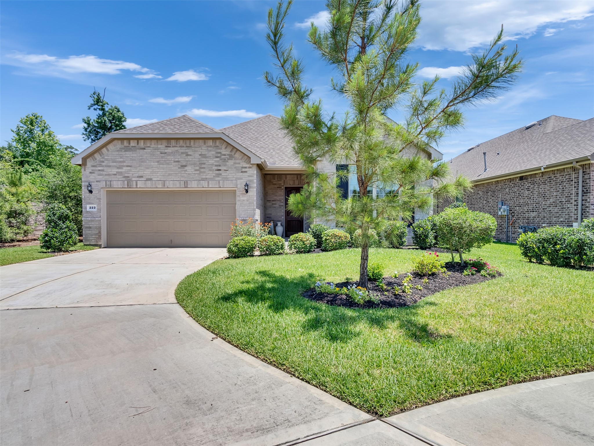 223 Spotted Saddle Court Property Photo 1