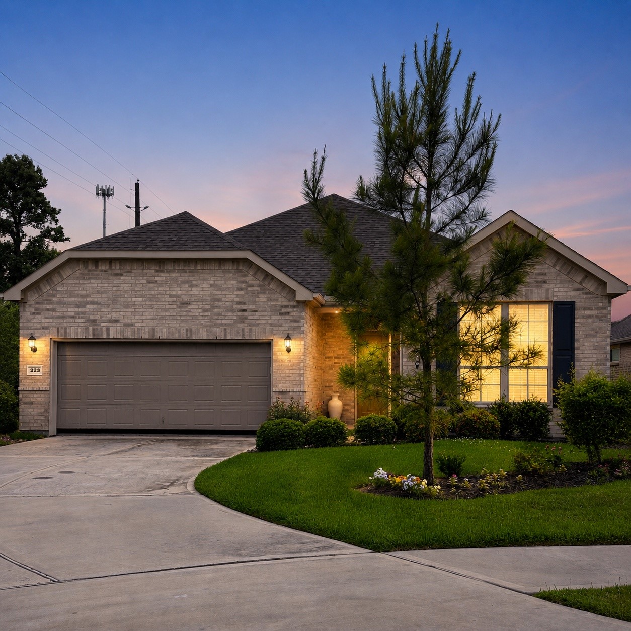 223 Spotted Saddle Court Property Photo 2